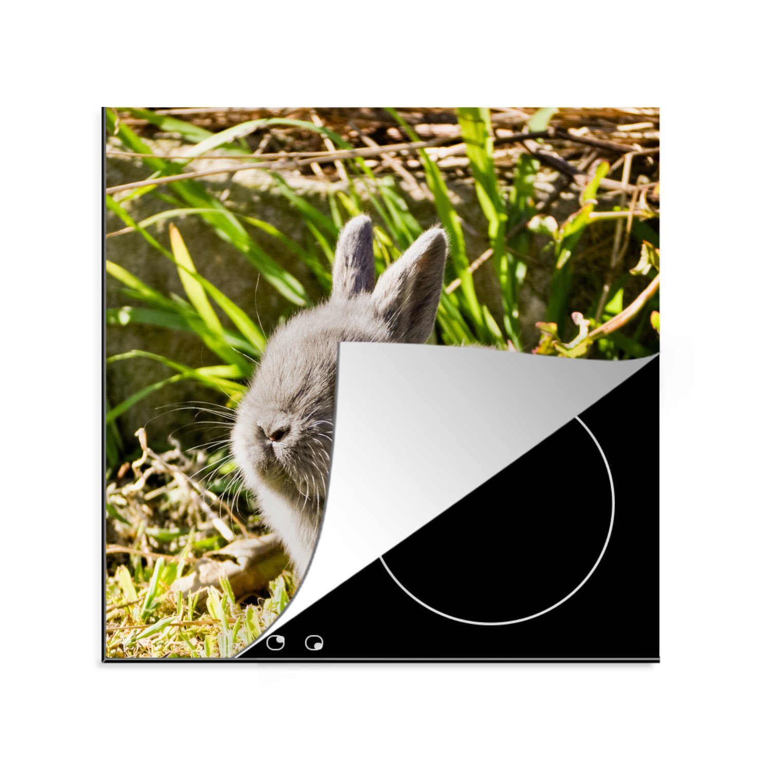 MuchoWow Herdblende-/Abdeckplatte Kaninchen - Baby - Grau, Vinyl, (1 tlg), 78x78 cm, Ceranfeldabdeckung, Arbeitsplatte für küche