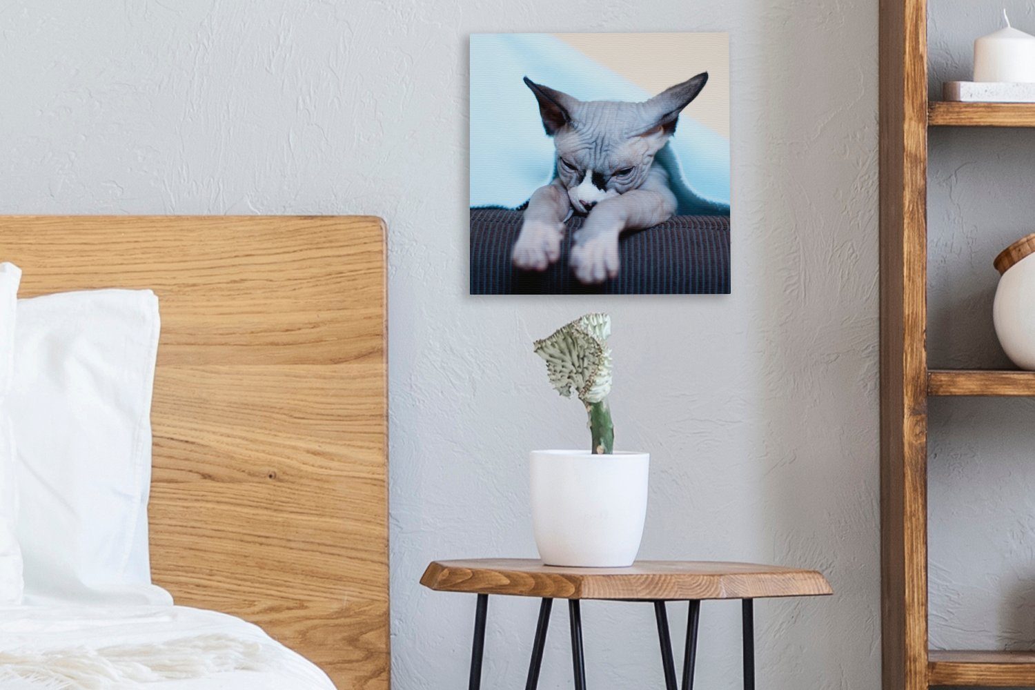 (1 schläfrige Schlafzimmer Wohnzimmer Sphynx-Katze Eine Leinwandbild St), OneMillionCanvasses® auf Bilder Leinwand dem Sofa, für