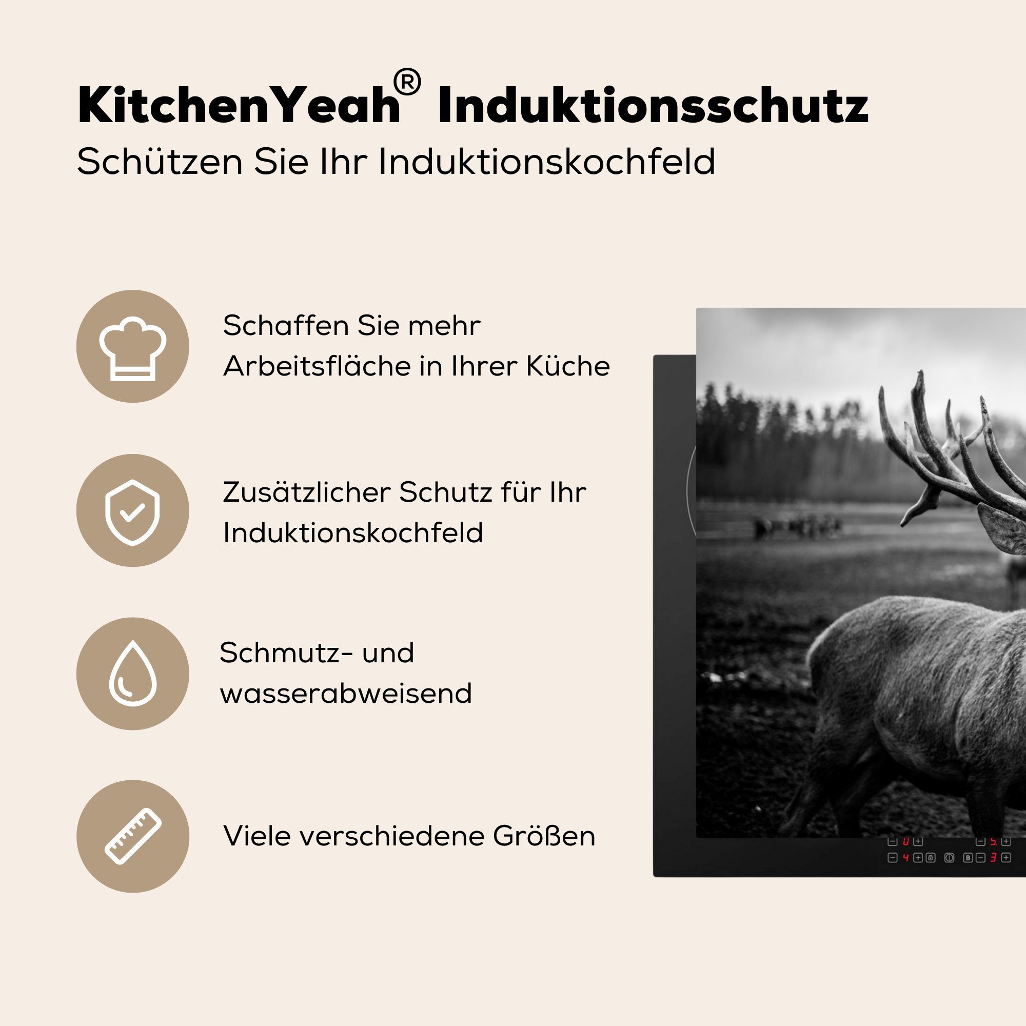 Hirsch Natur, Tiere und - - küche Ceranfeldabdeckung, (1 Schwarz - MuchoWow tlg), Geweih Arbeitsplatte weiß für Herdblende-/Abdeckplatte - Vinyl, cm, 77x51