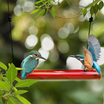 LifeImpree Vogelhaus Vogelfutterspender zum Aufhängen, Kolibri-Futterstation für Sky Gardens und Balkone
