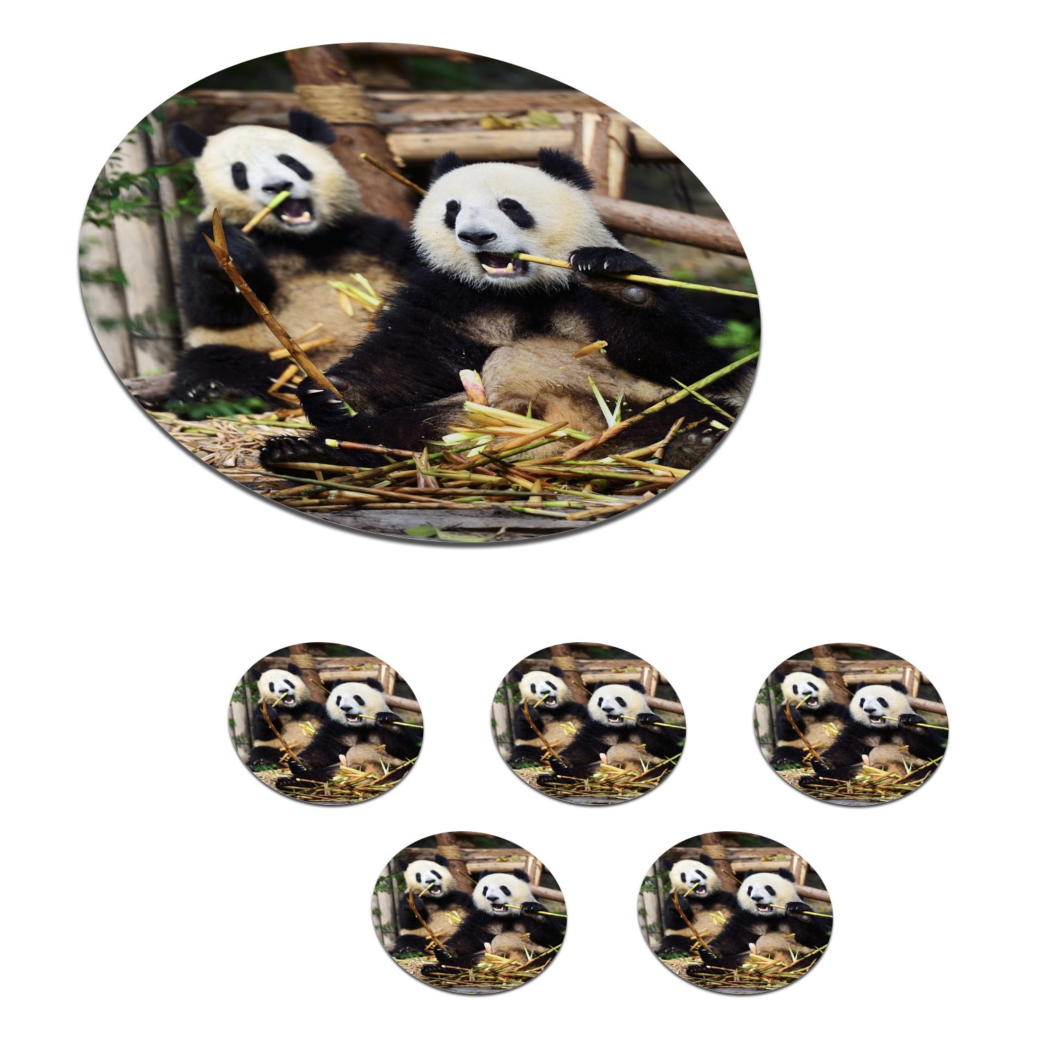 MuchoWow Glasuntersetzer Panda - Wilde Tiere - Bambus, Zubehör für Gläser, 6-tlg., Getränkeuntersetzer, Tassenuntersetzer, Korkuntersetzer, Tasse, Becher