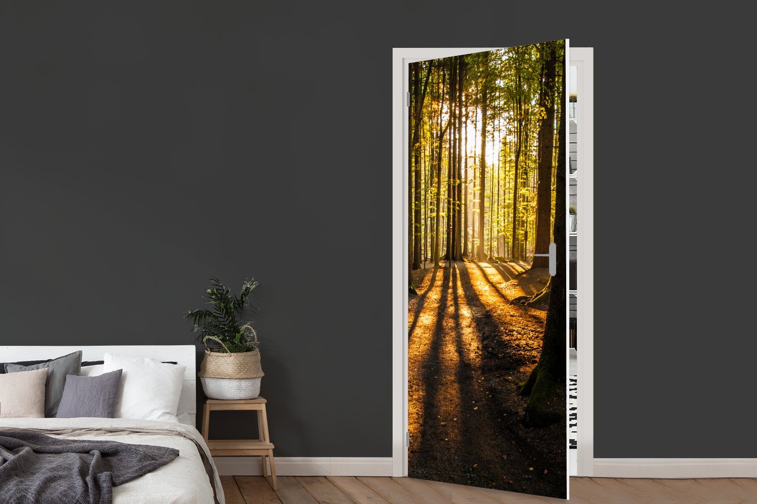 Landschaft - cm St), Tür, Fototapete - Türaufkleber, - Sonne (1 Bäume 75x205 bedruckt, für Türtapete Natur, MuchoWow - Wald Matt,