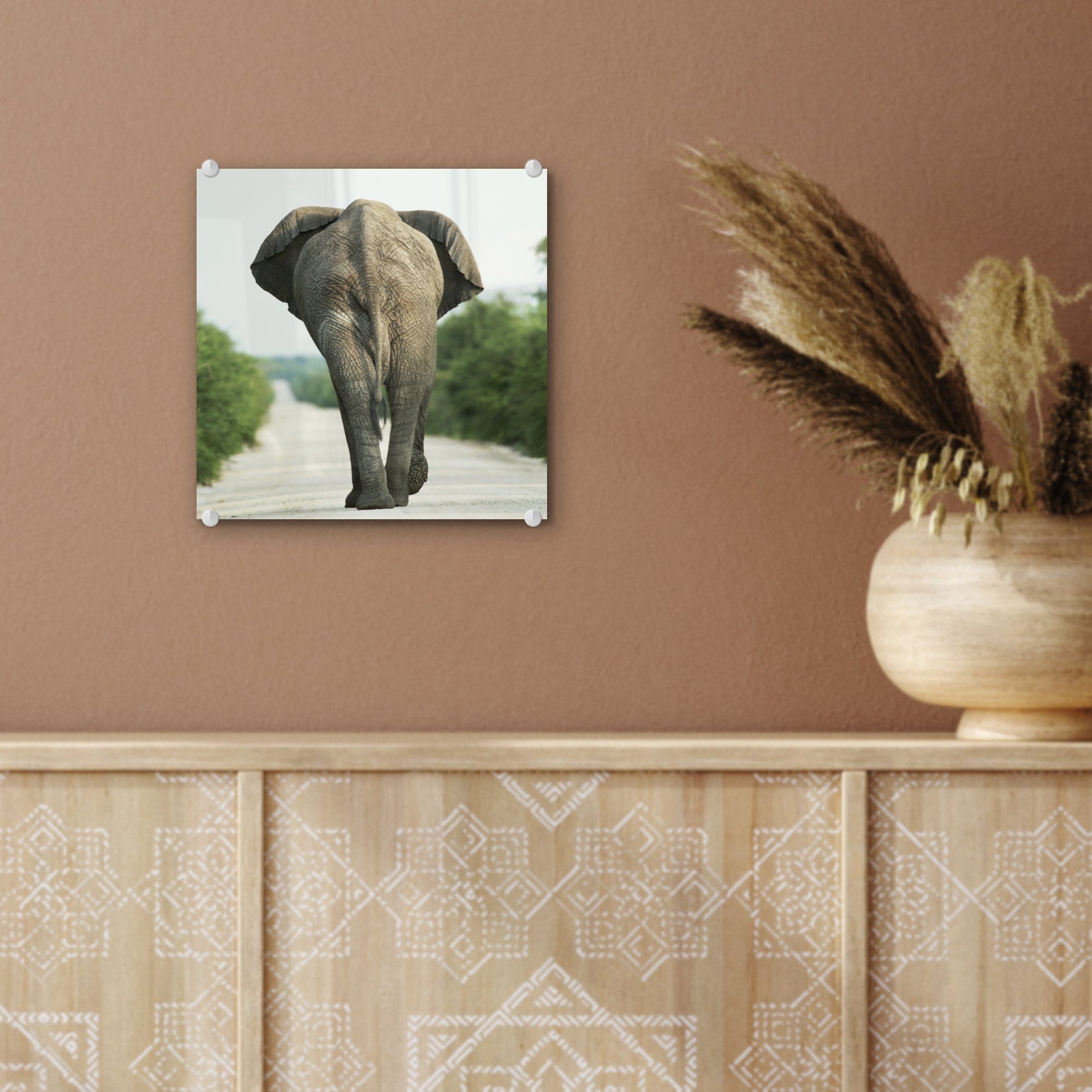 MuchoWow Acrylglasbild Elefant - Kröte - Foto - - Tiere - auf Wanddekoration Bilder Glas auf St), - Natur, Wandbild Glas (1 Glasbilder