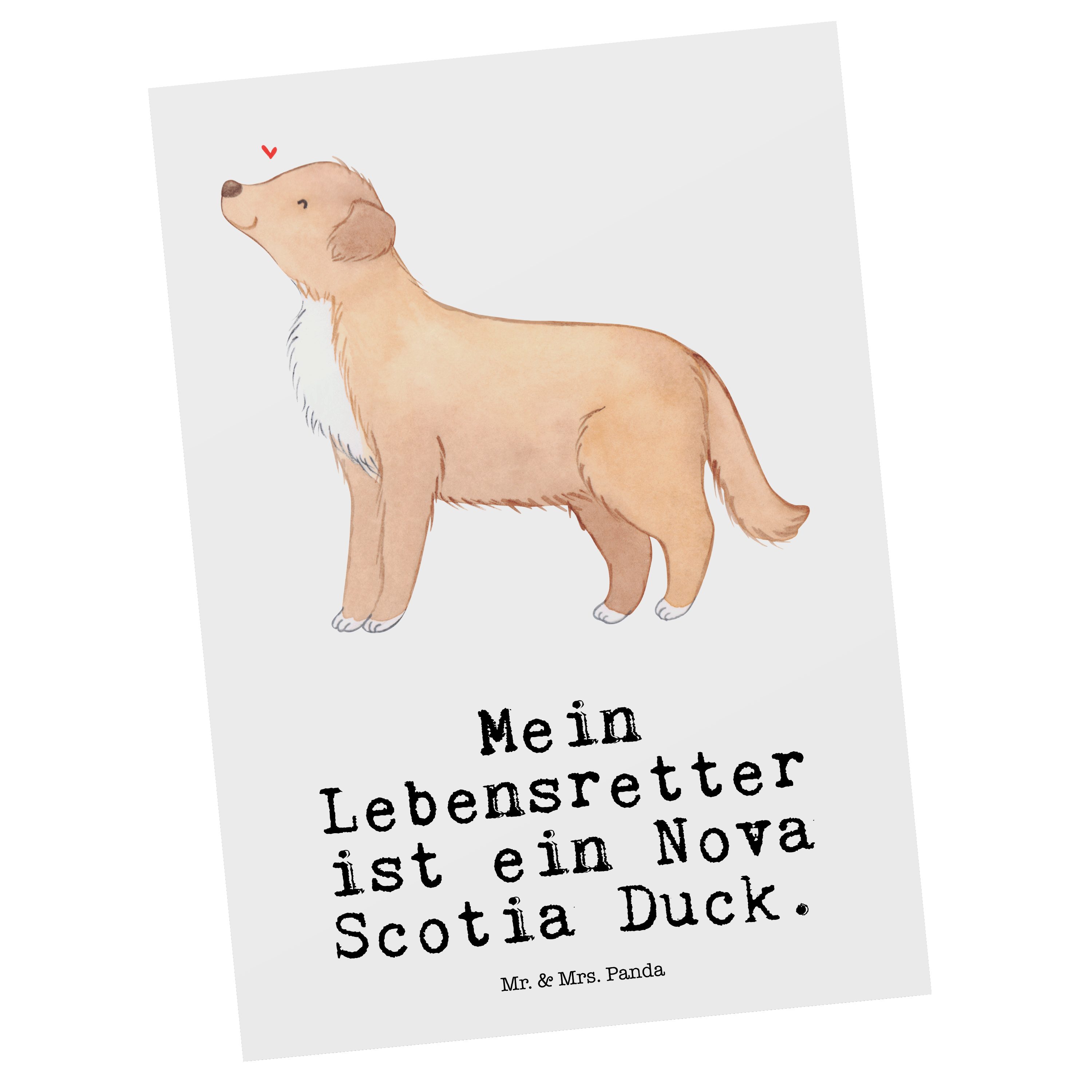 Mr. & Mrs. Panda Postkarte Nova Scotia Duck Lebensretter - Weiß - Geschenk, Retriever, Nova Scot
