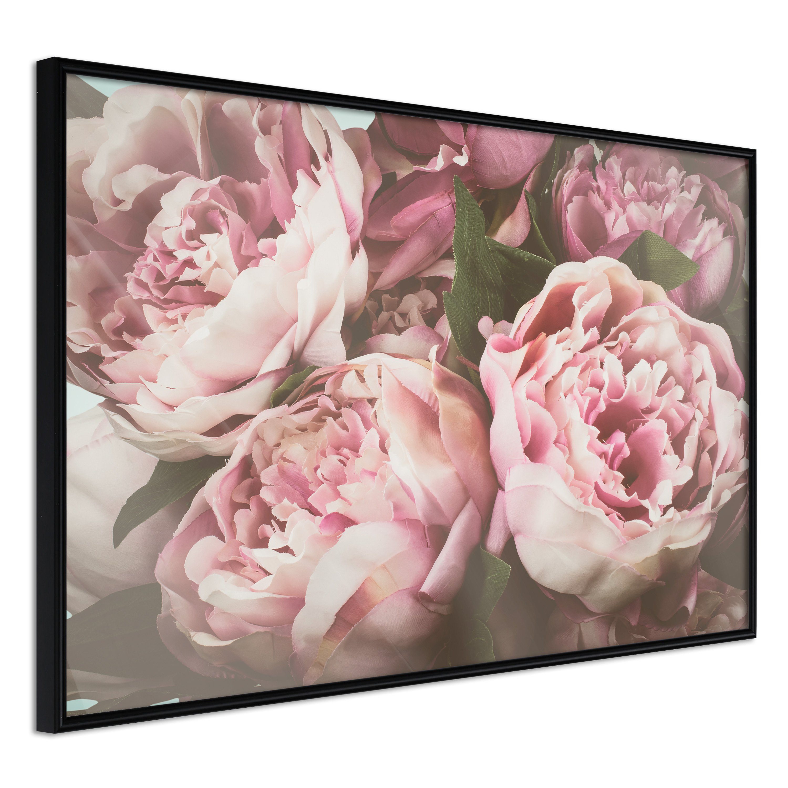 Artgeist Poster Pink Peonies []