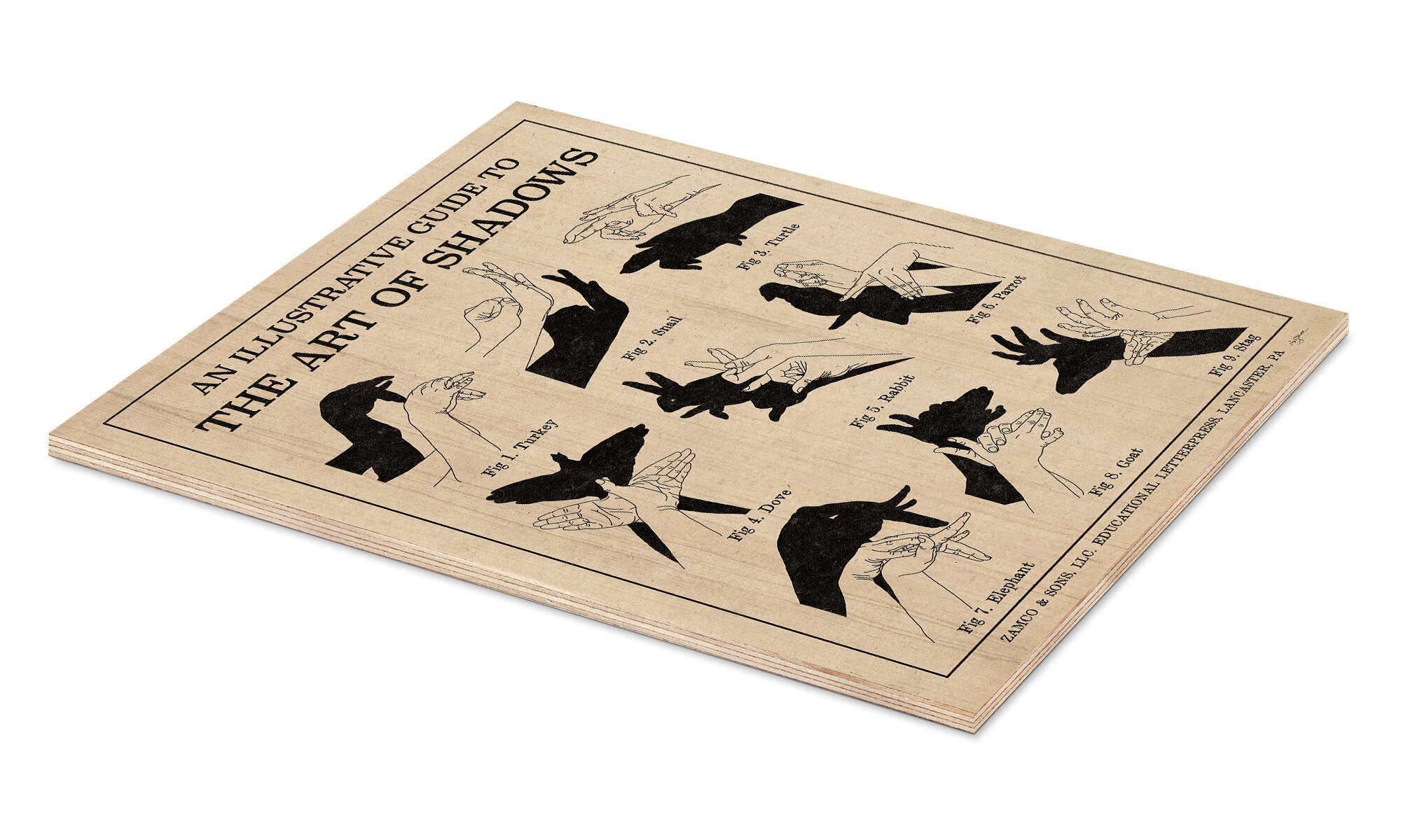 Posterlounge Wandbild Die Kunst der Schattenspiele X (Englisch), Mary Urban günstig online kaufen