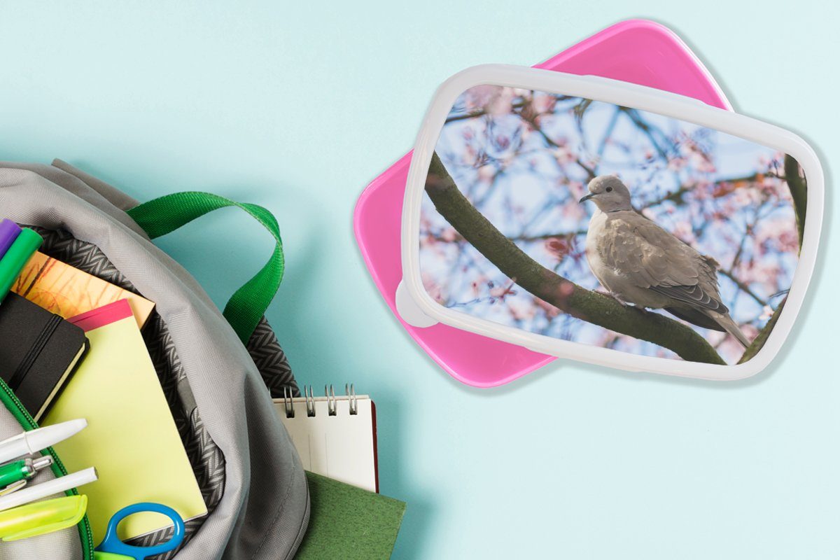 Taube Rosa, Kunststoff, Mädchen, - Lunchbox Kunststoff (2-tlg), Snackbox, - MuchoWow Brotbox Blütenzweige für Blumen Erwachsene, Kinder, - Brotdose Vogel -