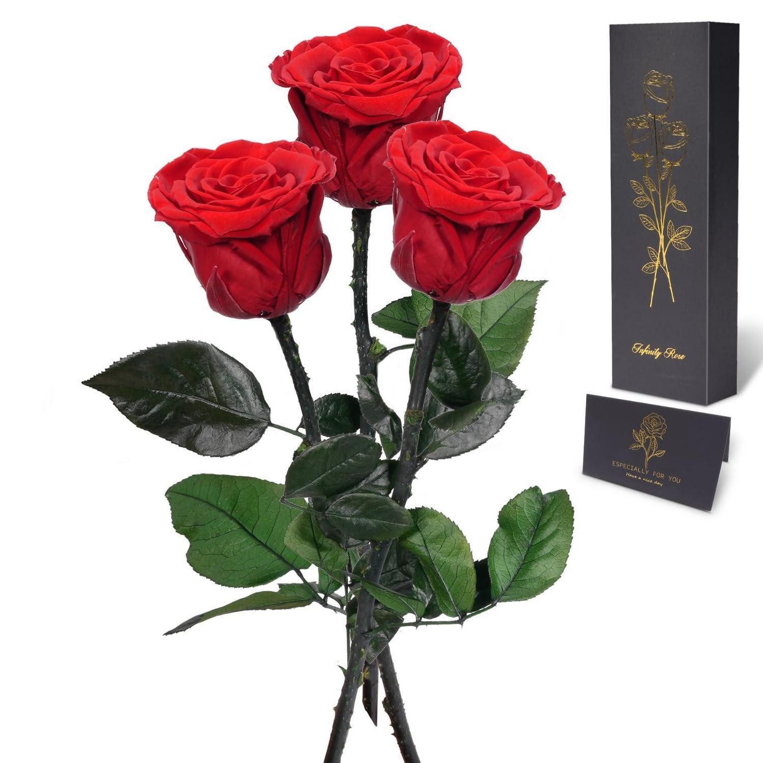 Kunstblume Ewige Rosen Set 3er-Set, LuxusKollektion, Höhe 28 cm