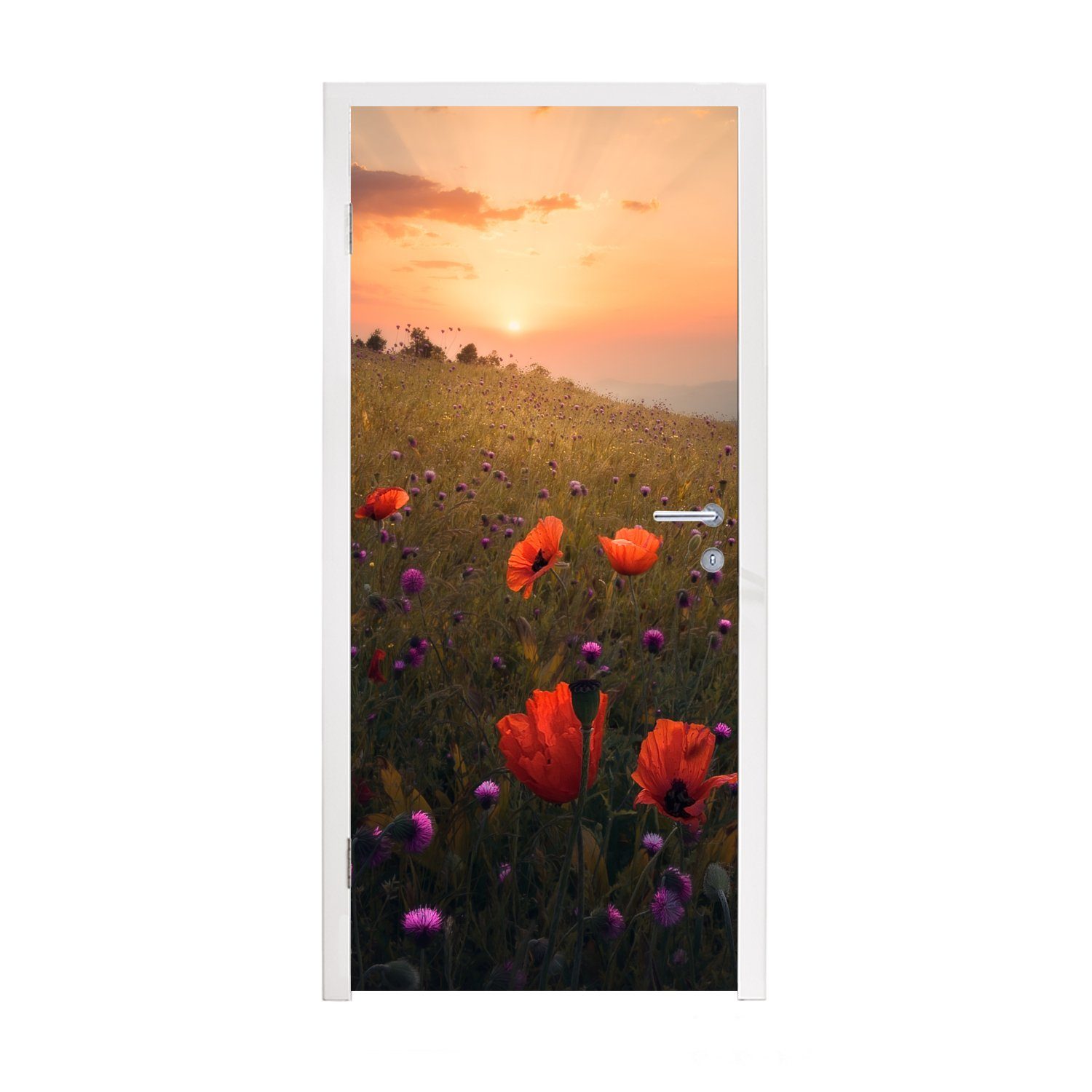 MuchoWow Türtapete Blumenfeld - Gras - Pflanzen - Sonnenuntergang - Orange, Matt, bedruckt, (1 St), Fototapete für Tür, Türaufkleber, 75x205 cm