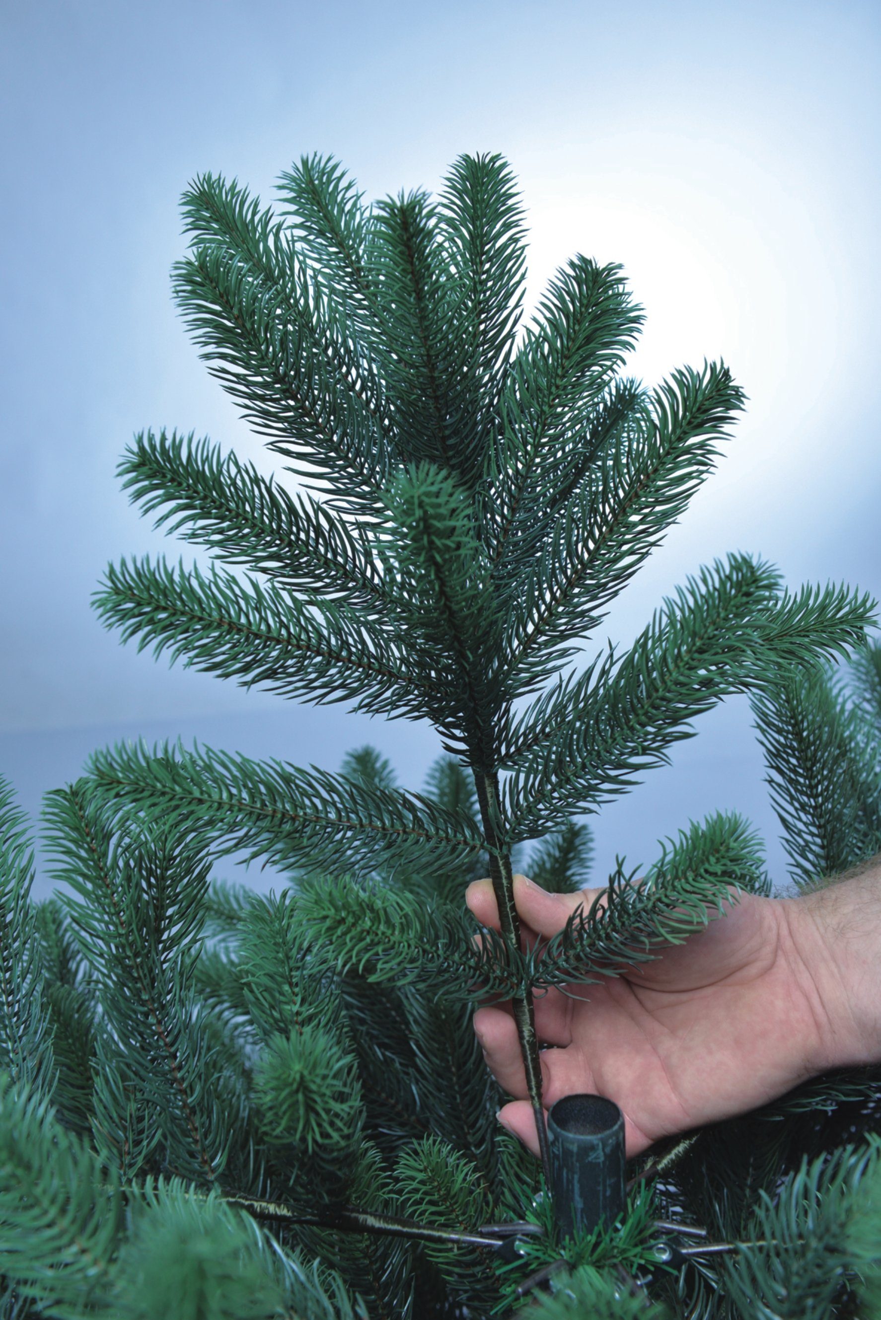 SCHAUMEX Künstlicher Weihnachtsbaum 240 LED 150 cm, 210 Beleuchtung, Nordmanntanne, cm, 85 120 Beleuchtung, Weihnachtsbaum cm, ohne cm LED Künstlicher cm, Ohne 180 cm