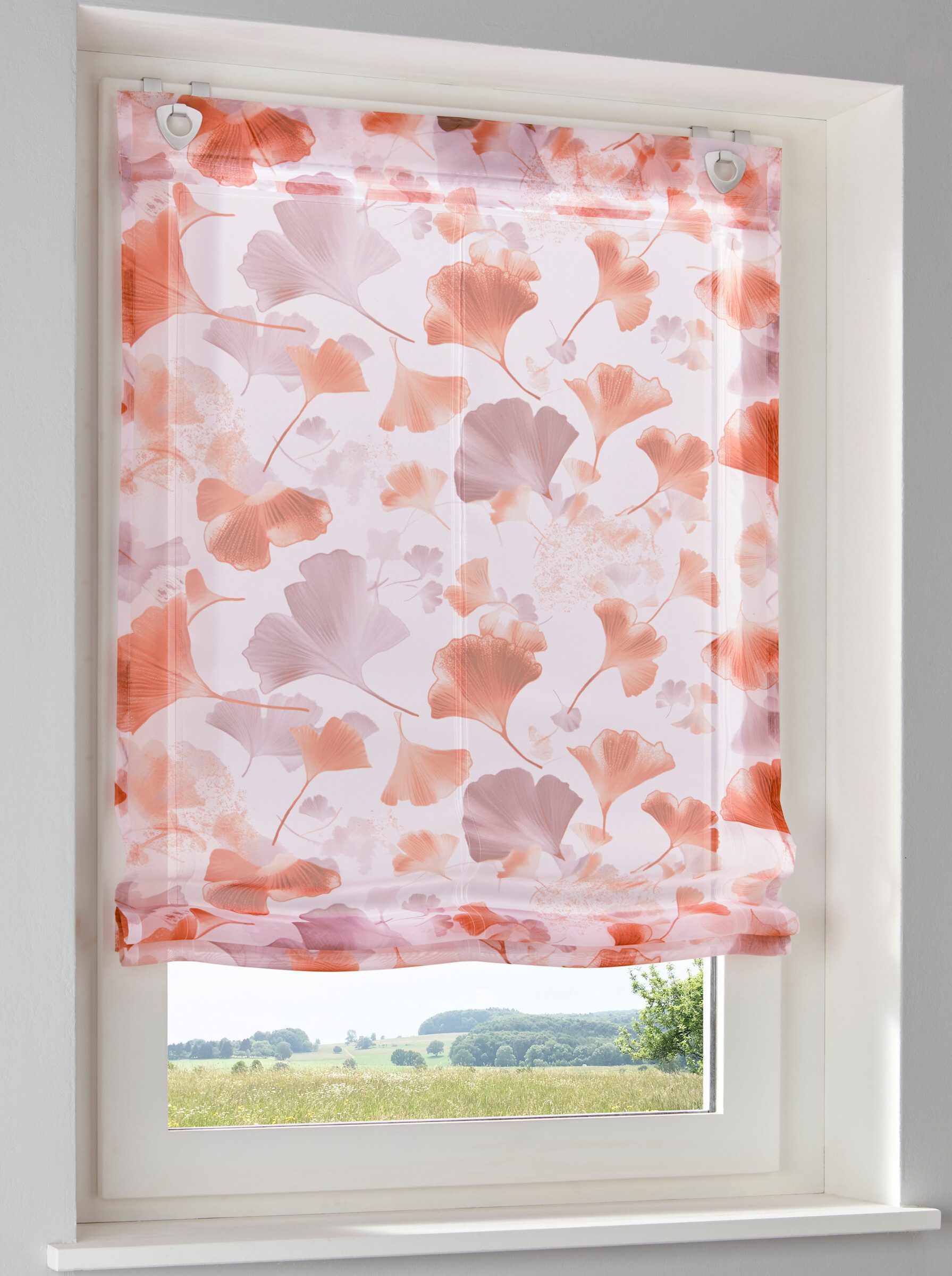 Rollo Raffrollo, heine, transparent, Ösen mit Fensterhaken