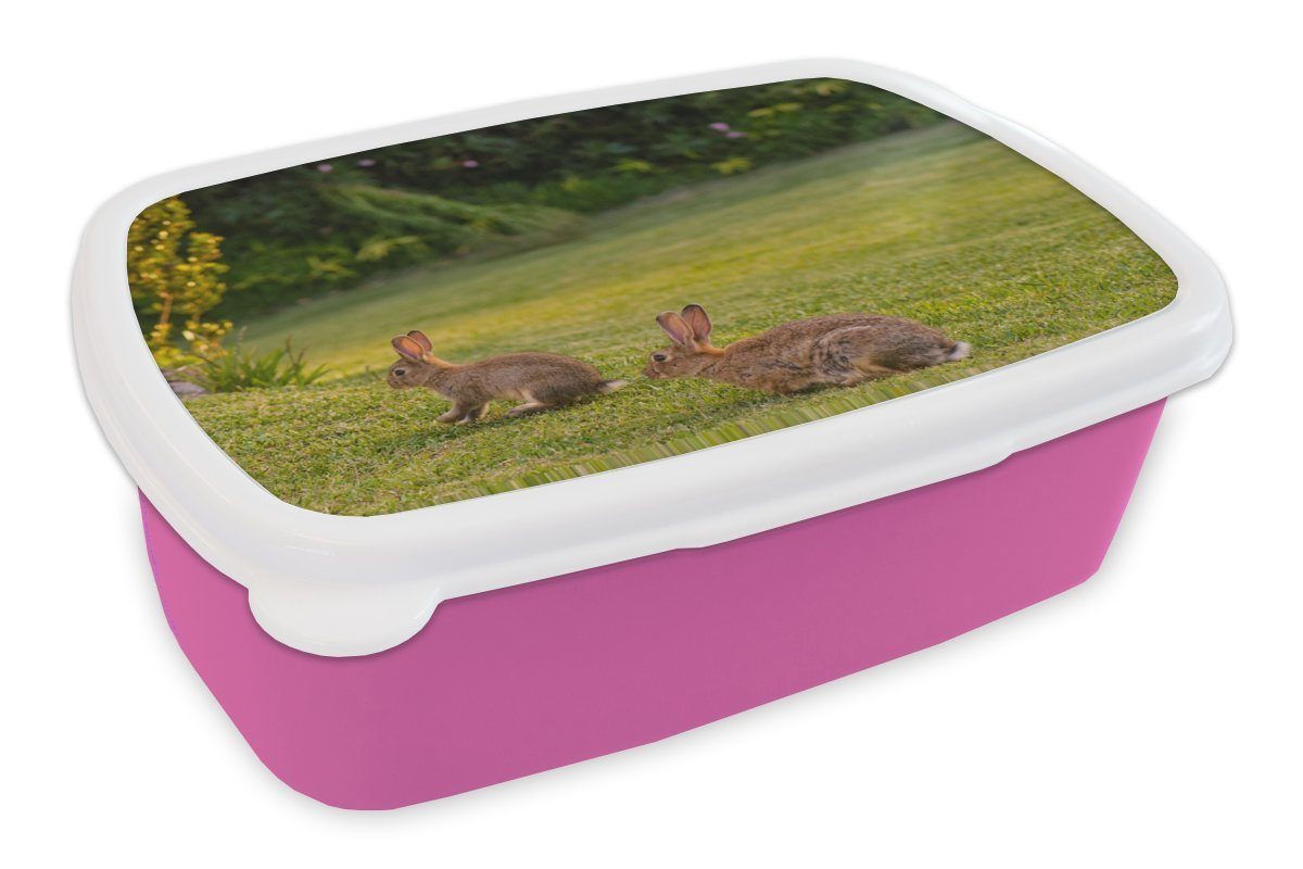 Kunststoff, - Erwachsene, Kinder, Kaninchen Snackbox, Brotdose Lunchbox (2-tlg), - rosa Tiere, für MuchoWow Mädchen, Brotbox Wild Kunststoff
