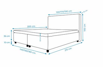 Furnix Boxspringbett RANGO 140/160/180x200 Bett mit Topper und silbernen Füße ML18 schwarz, Bonell-Federkern H3, strapazierfähiger gemütlicher Bezug