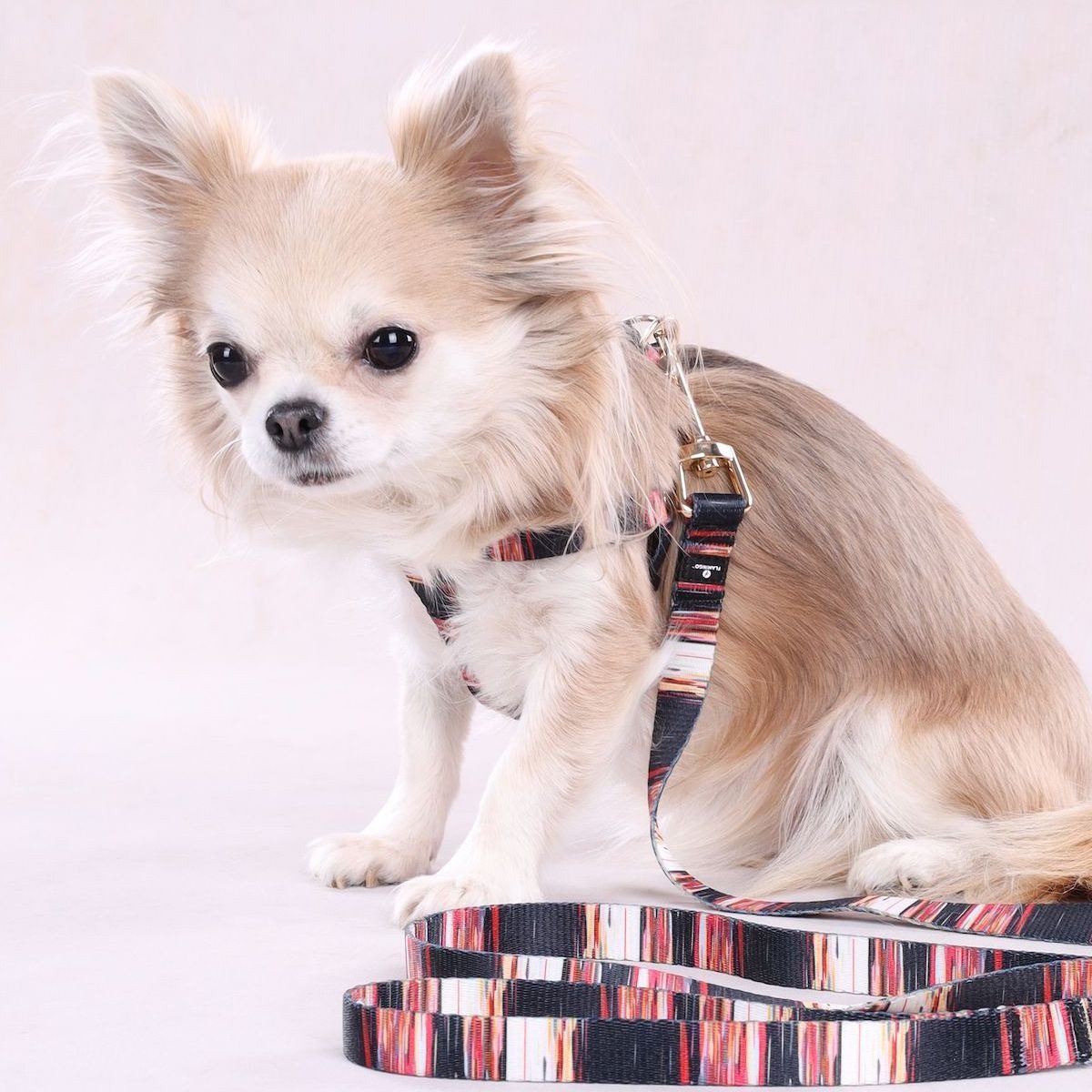 Flamingo Hunde-Geschirr Geschirr Tabor bunt