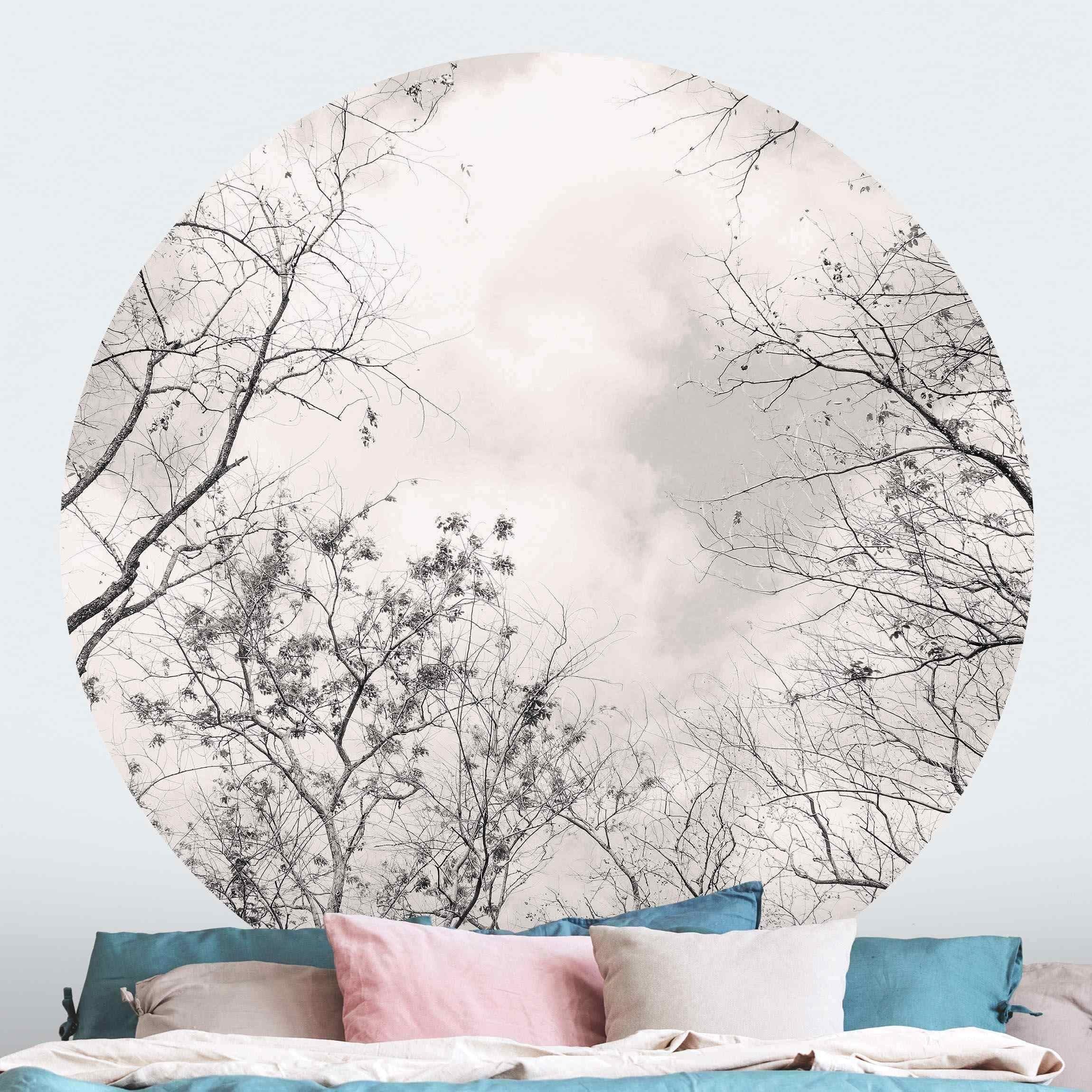 Bilderdepot24 Fototapete rund Wald Baumkronen Himmel Warmgrau Natur Landschaft Bäume, Glatt, Matt, (Vliestapete selbstklebend), Wohnzimmer Schlafzimmer Küche Wandtattoo Motivtapete Klebe Wandtapete