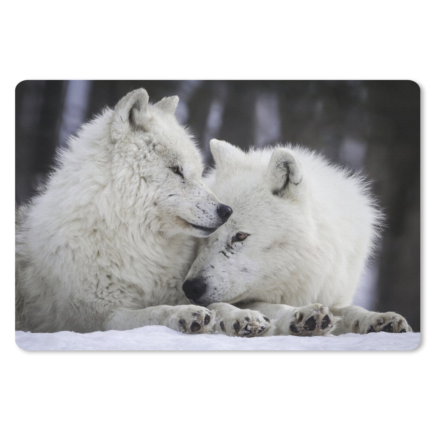 MuchoWow Mauspad Wölfe - Schnee - Familie (1-St), Mouse pad Klein, Gaming Deko, PC Zubehör, 27x18 cm