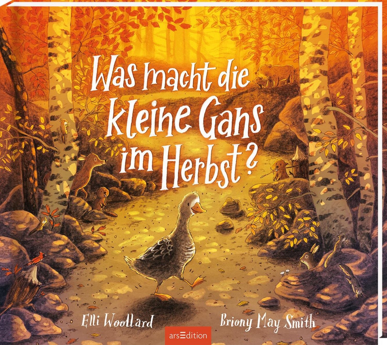 Was macht die kleine Gans im Herbst? / Elli Woollard