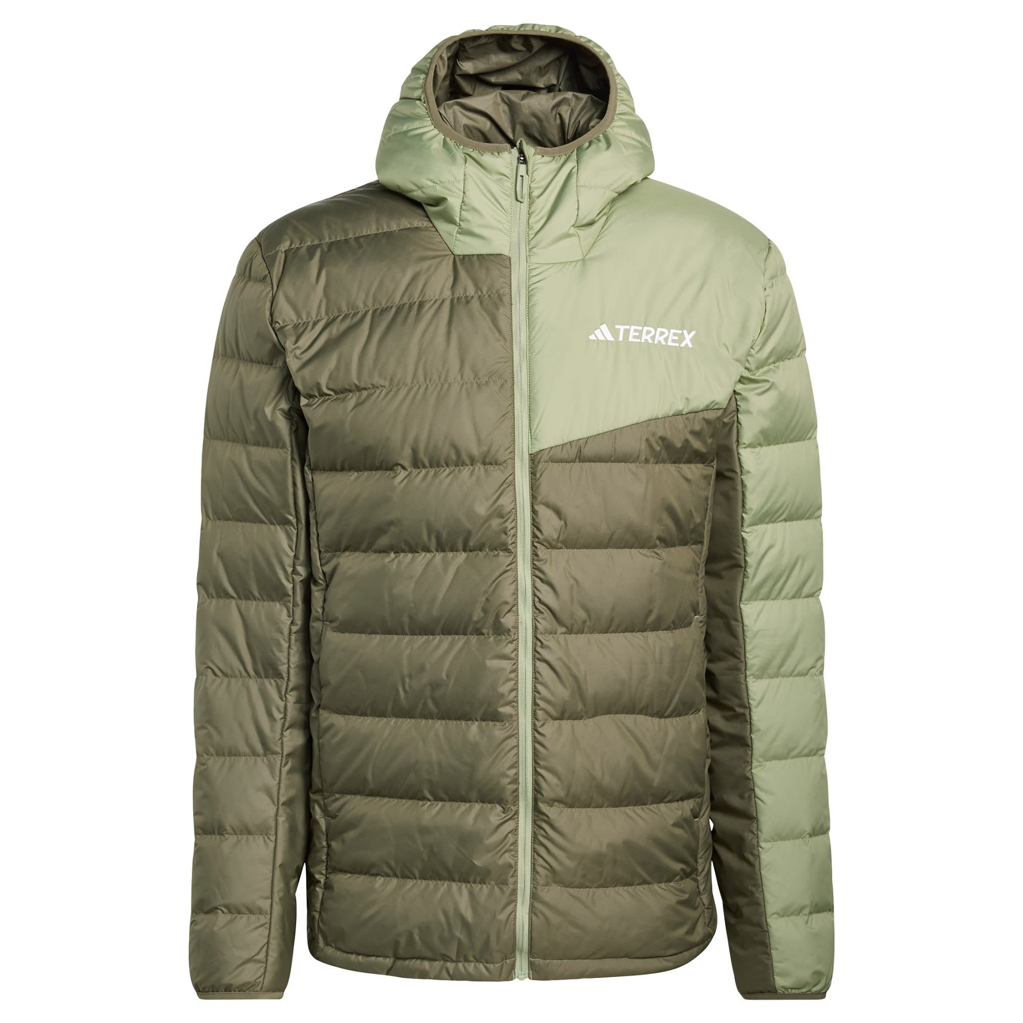 Olive Strata / Tent Green