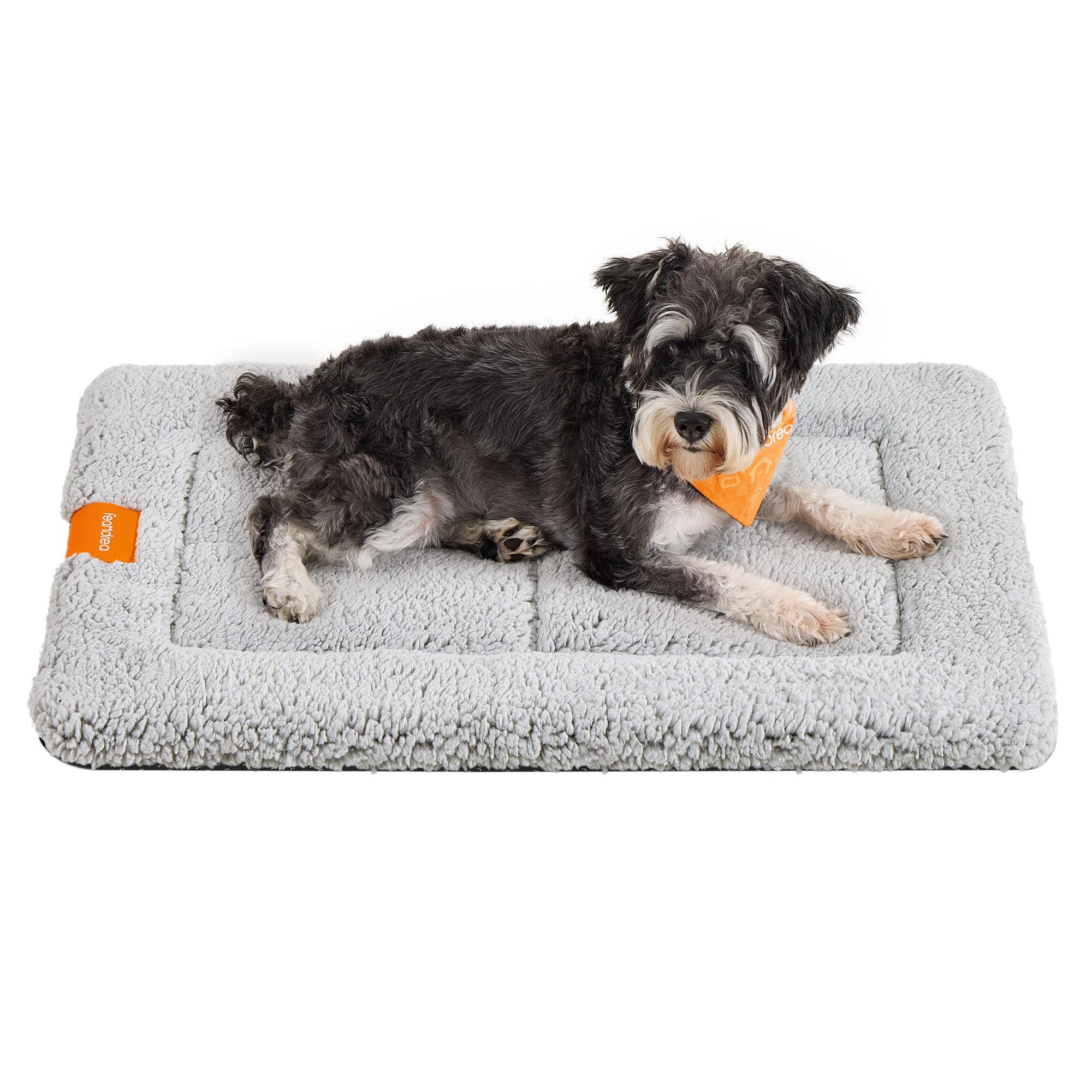 FEANDREA Tierdecke Hundedecke, Haustier Decke, für Hunde, Katzen, 75 x 50 cm, M, maschinenwaschbar, trocknergeeignet, rutschfest