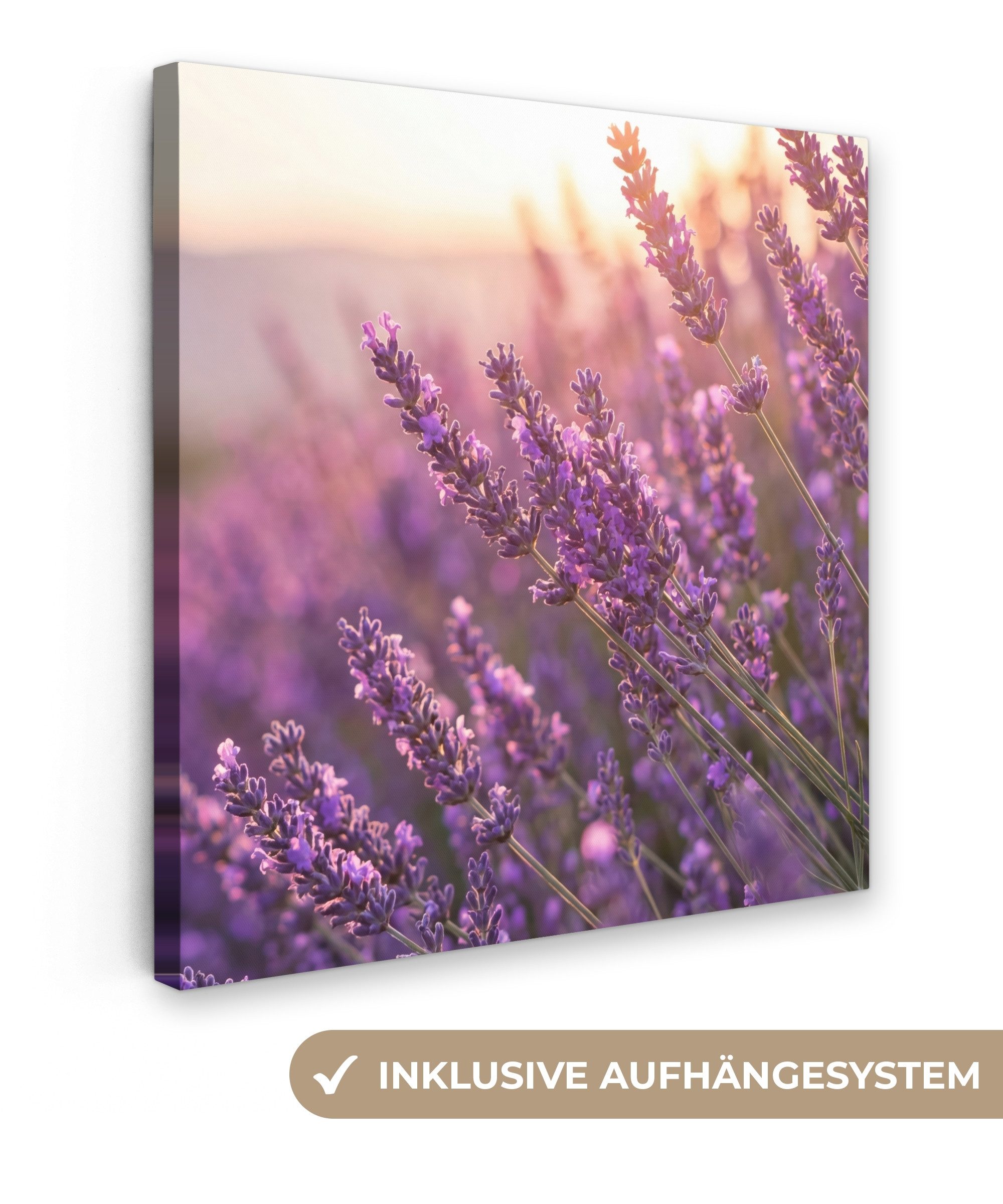 OneMillionCanvasses® Leinwandbild Lavendel - Lila - Sonnenlicht, Fotodruck (1 St), Wandbild, Deko Schlafzimmer Wohnzimmer Flur 20x20 cm