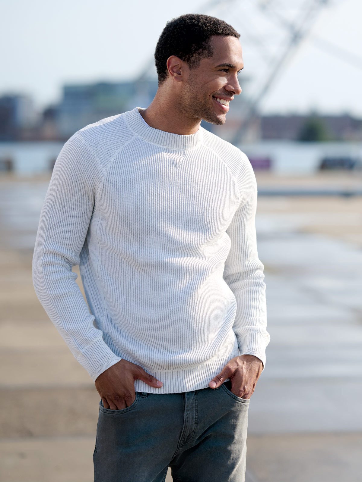 emilio adani Rundhalspullover emilio adani Herren Rundhals Pullover, Hellgrau