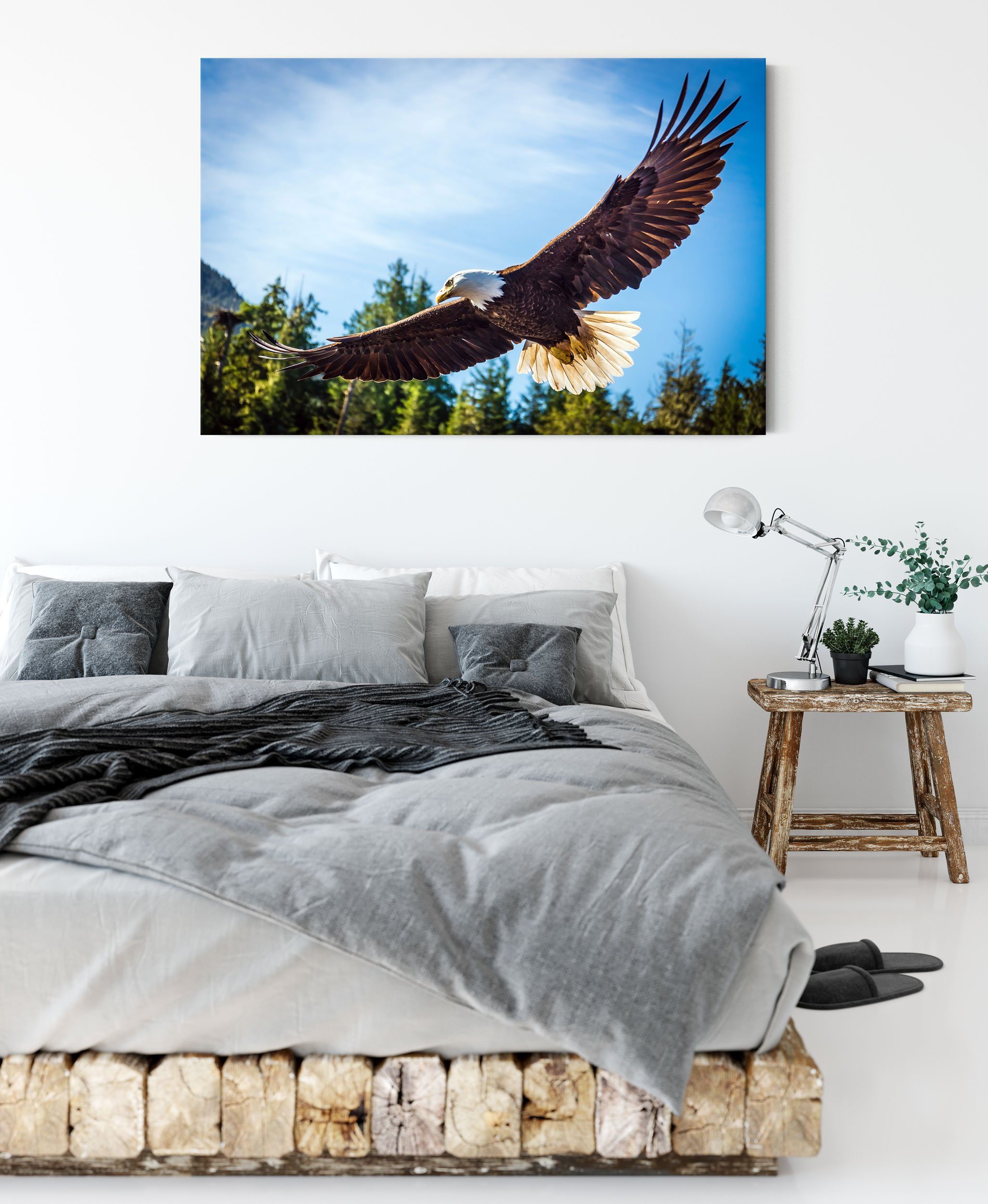 Leinwandbild Leinwandbild St), inkl. Zackenaufhänger fertig (1 Adler, bespannt, Adler Pixxprint