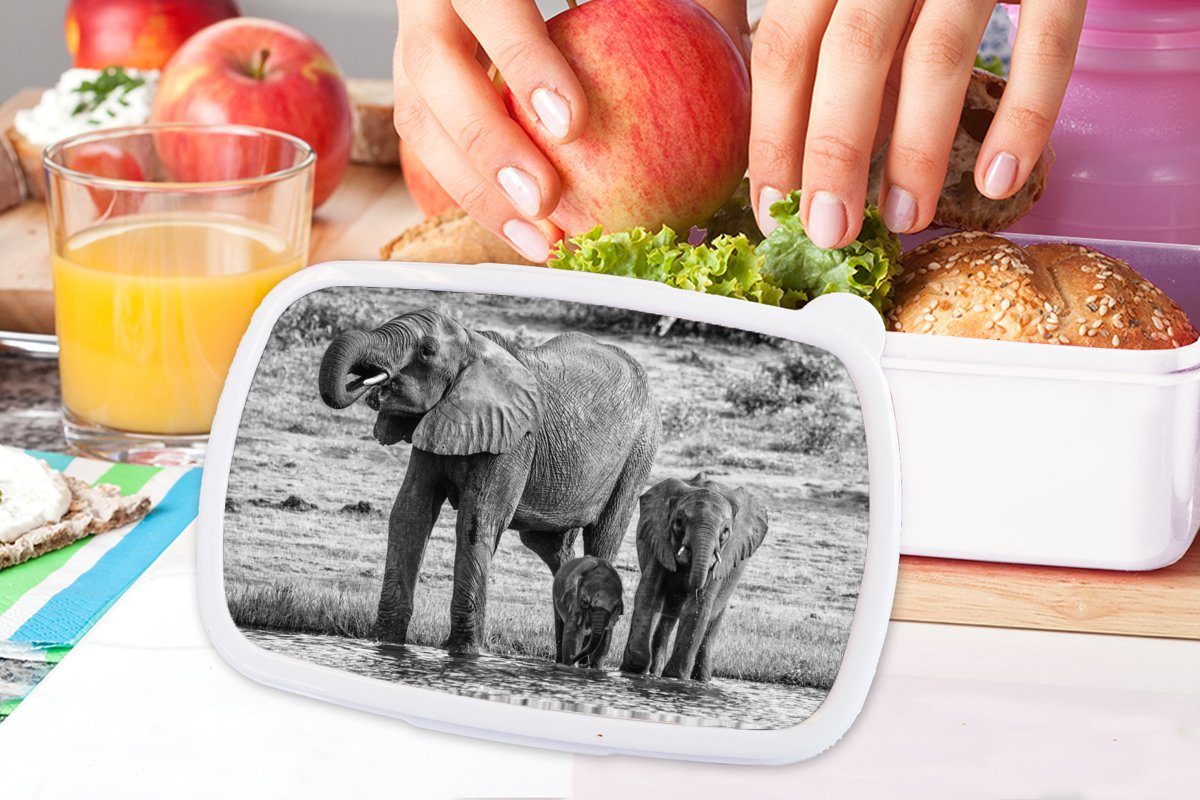Kunststoff, für Wasser Kinder für und - (2-tlg), Erwachsene, - - und - Tiere Brotdose, Weiß, Jungs Lunchbox MuchoWow Schwarz Elefant Mädchen Brotbox
