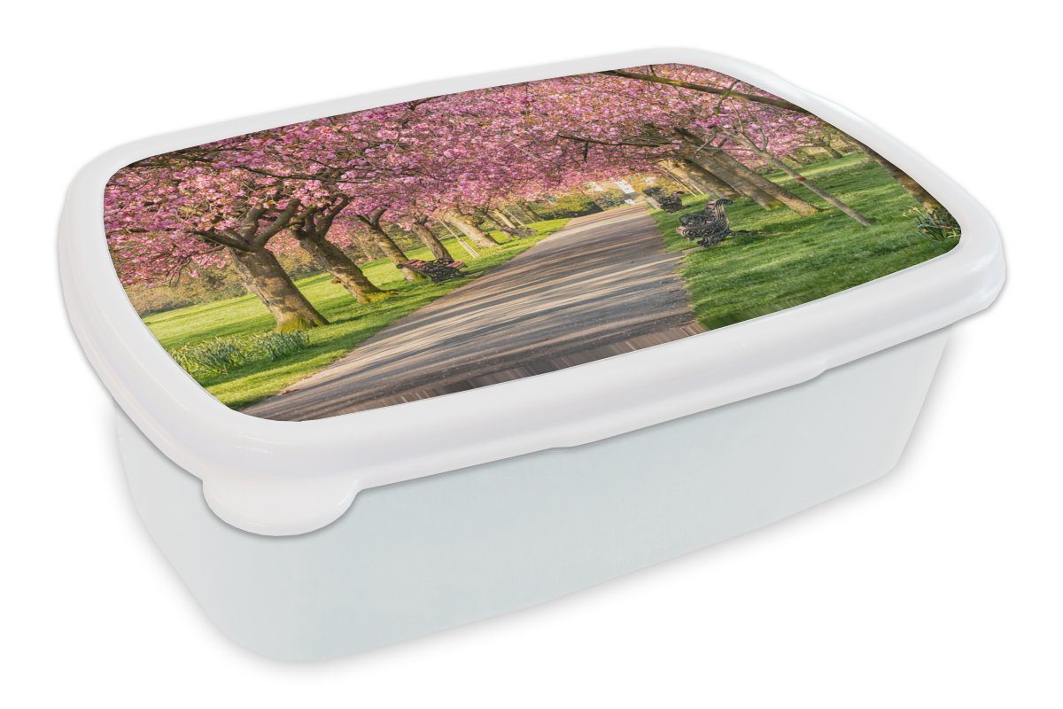 MuchoWow Lunchbox Bäume - Blüte - Rosa, Kunststoff, (2-tlg), Brotbox für Kinder und Erwachsene, Brotdose, für Jungs und Mädchen weiß