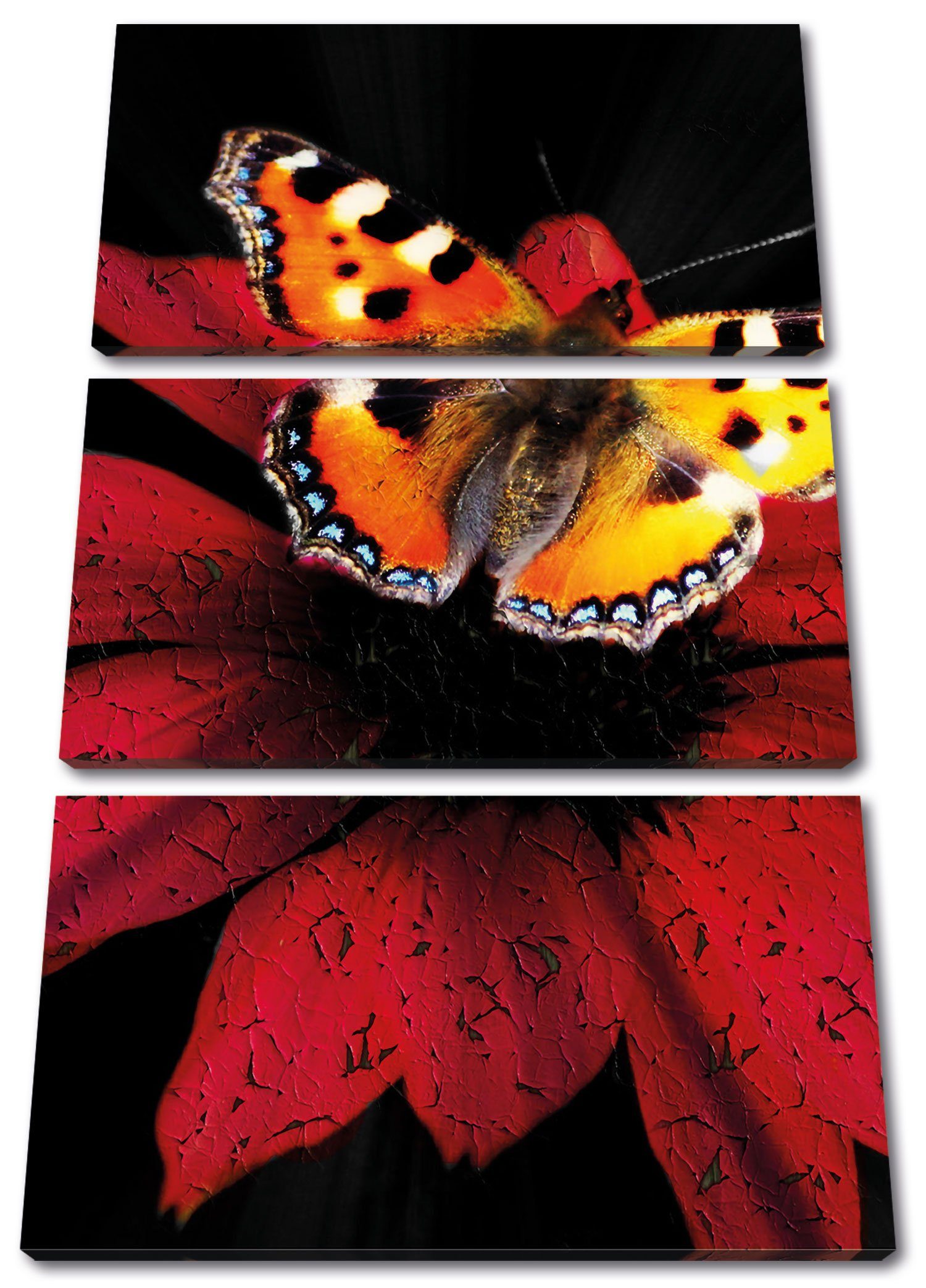 Pixxprint Leinwandbild Schmetterling inkl. roter Zackenaufhänger Leinwandbild roter Blüte auf (120x80cm) 3Teiler bespannt, Blüte, fertig Schmetterling St), (1 auf
