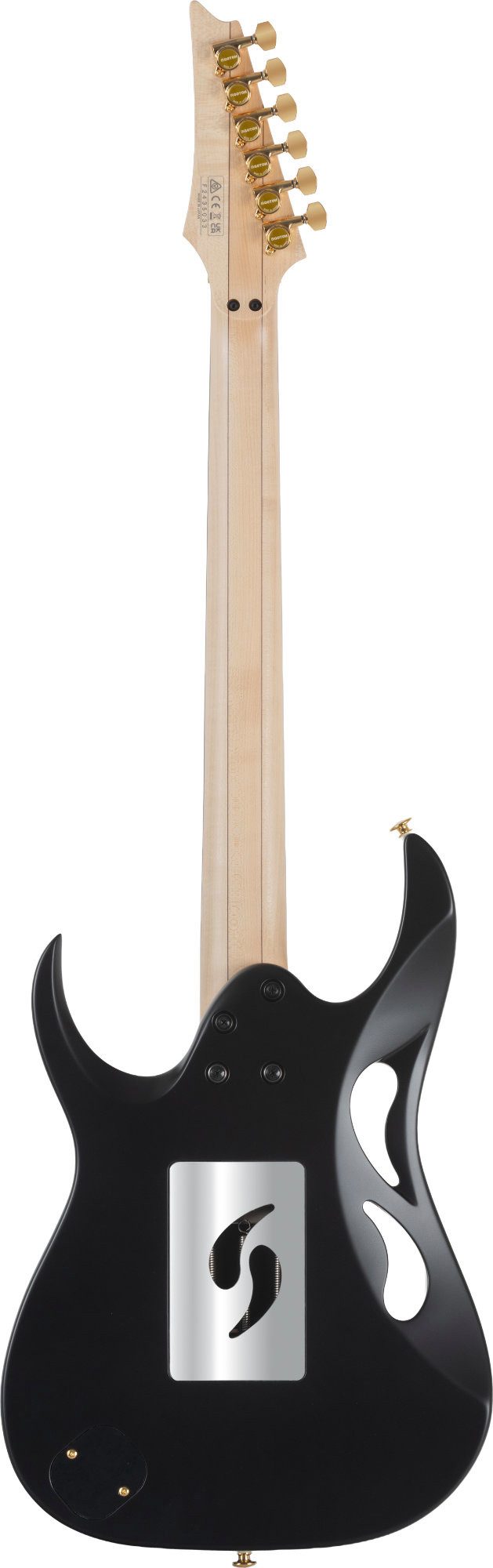 Ibanez E-Gitarre Steve Vai Signature-Modell mit Koffer, ST, Signature-Modell