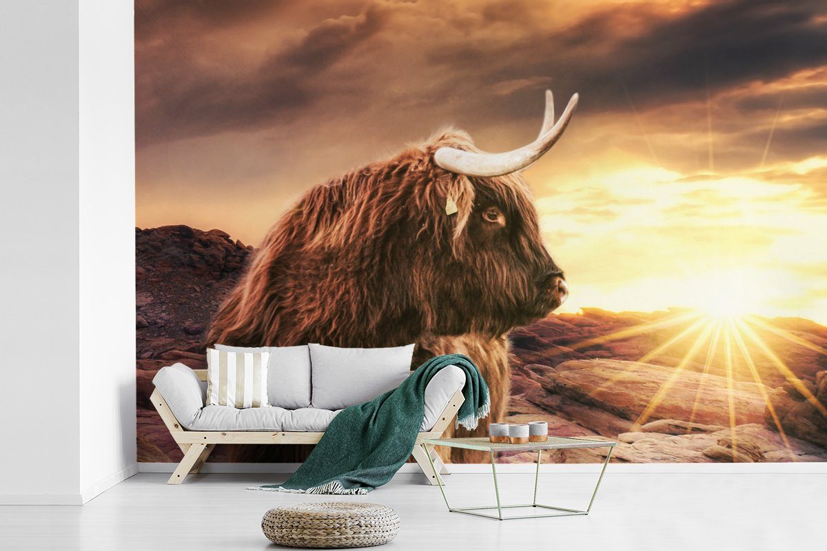 Tiere, Matt, (6 Horizont Sonne Vinyl für MuchoWow St), Tapete - - Schottischer Schlafzimmer, Wohnzimmer, bedruckt, Wallpaper Kinderzimmer, Hochländer - - Kuh Fototapete