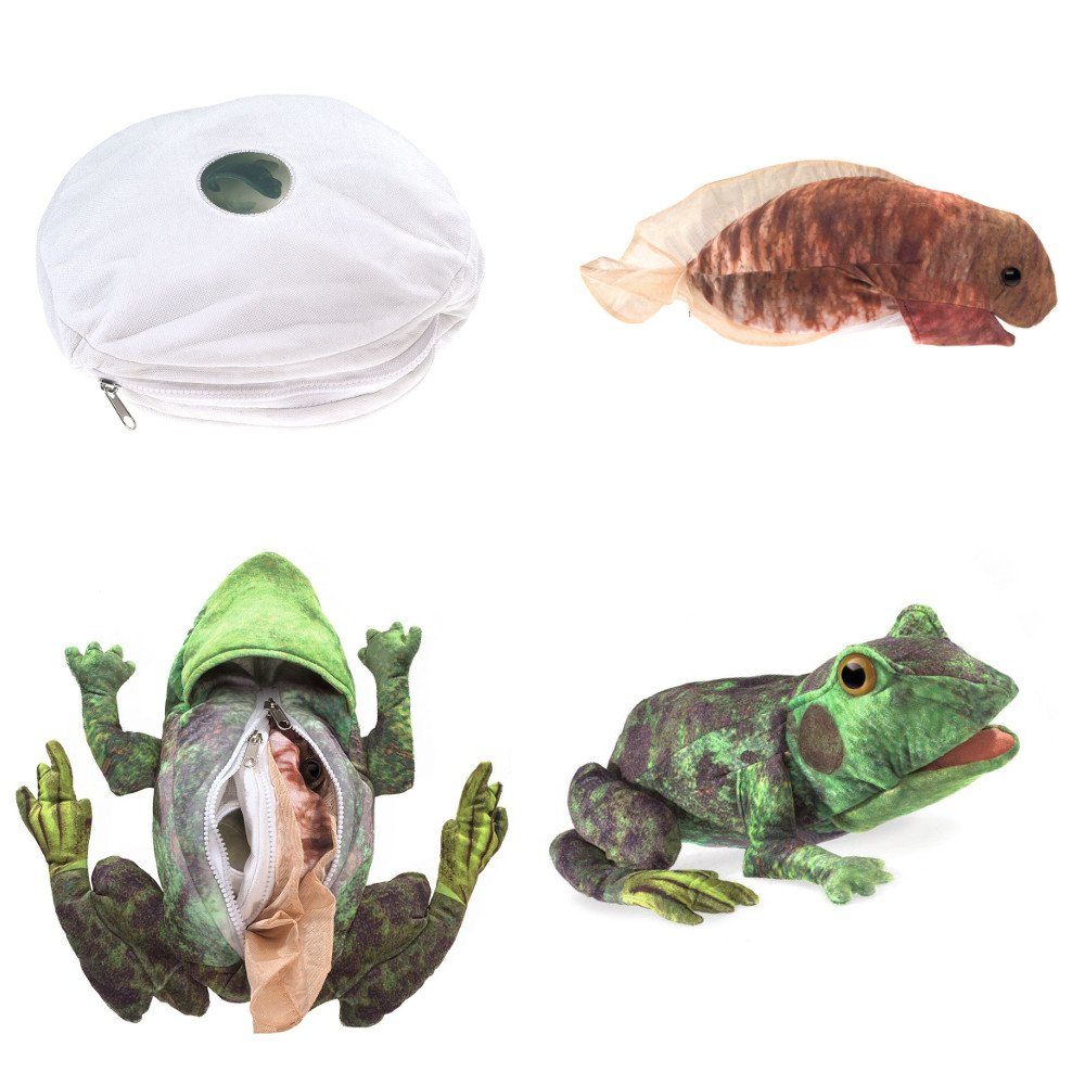 Folkmanis Панч і Джуді Handpuppe Folkmanis Handpuppe Metamorphose Frosch 3115 (Packung)