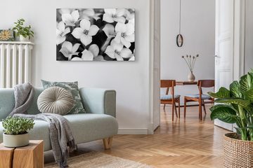 Sinus Art Leinwandbild 120x80cm Wandbild auf Leinwand Schwarz Weiß Fotografie Blumen weiße Bl, (1 St)