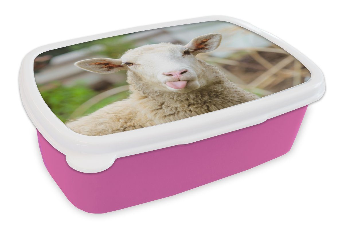 MuchoWow Lunchbox Schafe - Tiere - Wolle, Kunststoff, (2-tlg), Brotbox für Erwachsene, Brotdose Kinder, Snackbox, Mädchen, Kunststoff rosa