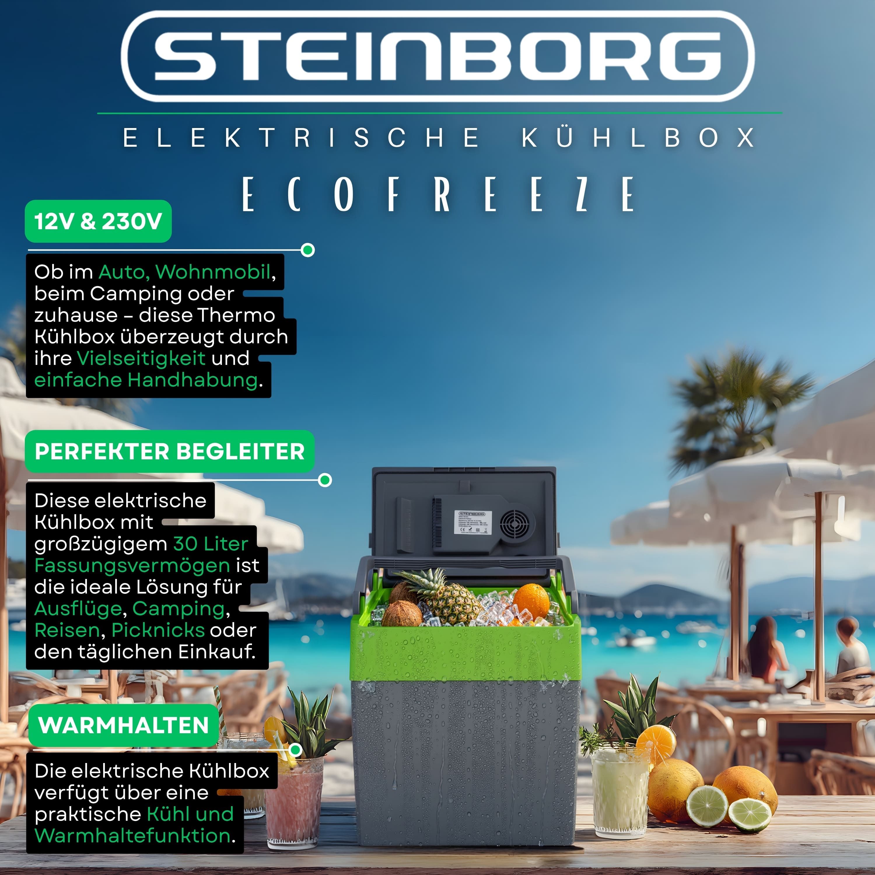 STEINBORG Thermobehälter SB-510, Kunststoff, (Einzeln), 30 Liter, Tragegriff, Warmhaltefunktion, 12V und 230V Anschluss