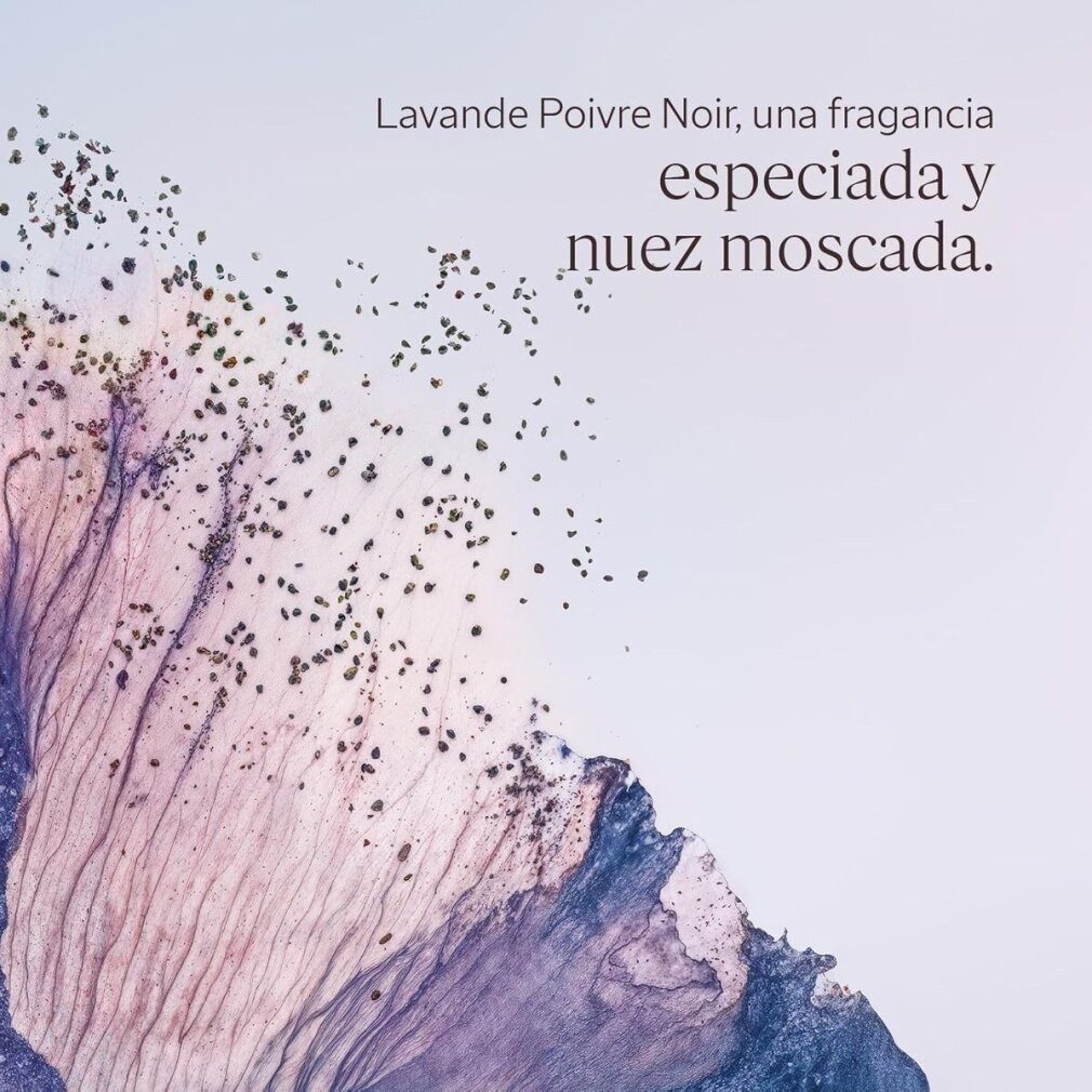 L'OCCITANE Körperpflegemittel LAVANDE POIVRE NOIR Duschgel 250 ml