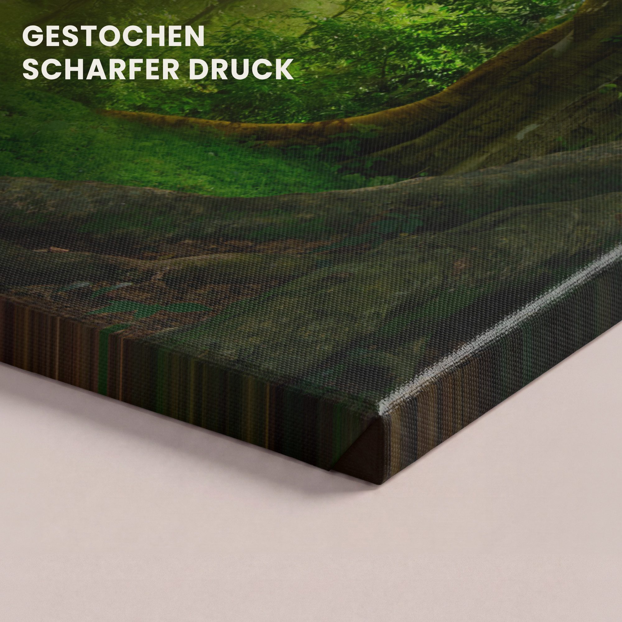 OneMillionCanvasses® Leinwandbild Bäume - Wald - Grün - Landschaft - Natur, Fotodruck (1 St), Leinwand Canvas Wandbild, Wanddekoration 20x30 cm – Bild 3 von 5