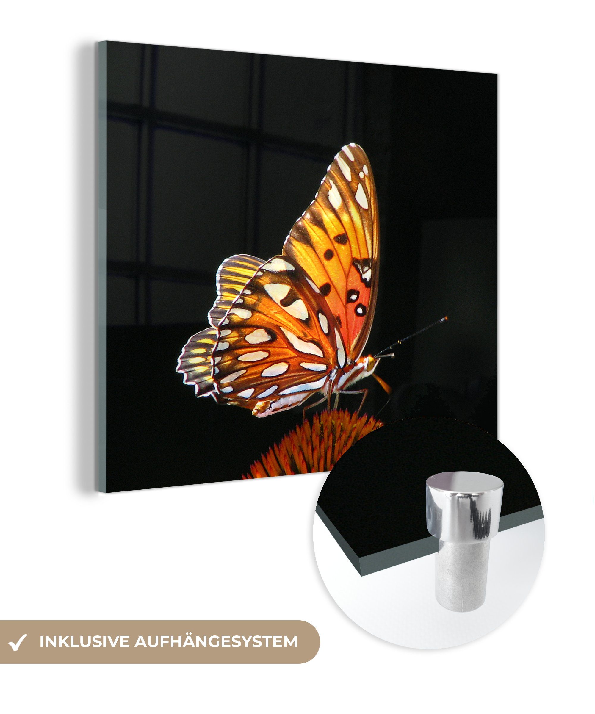 MuchoWow Acrylglasbild Schmetterling - Blumen - Insekt - Porträt - Schwarz - Orange, (1 St), Glasbilder - Bilder auf Glas Wandbild - Foto auf Glas - Wanddekoration bunt