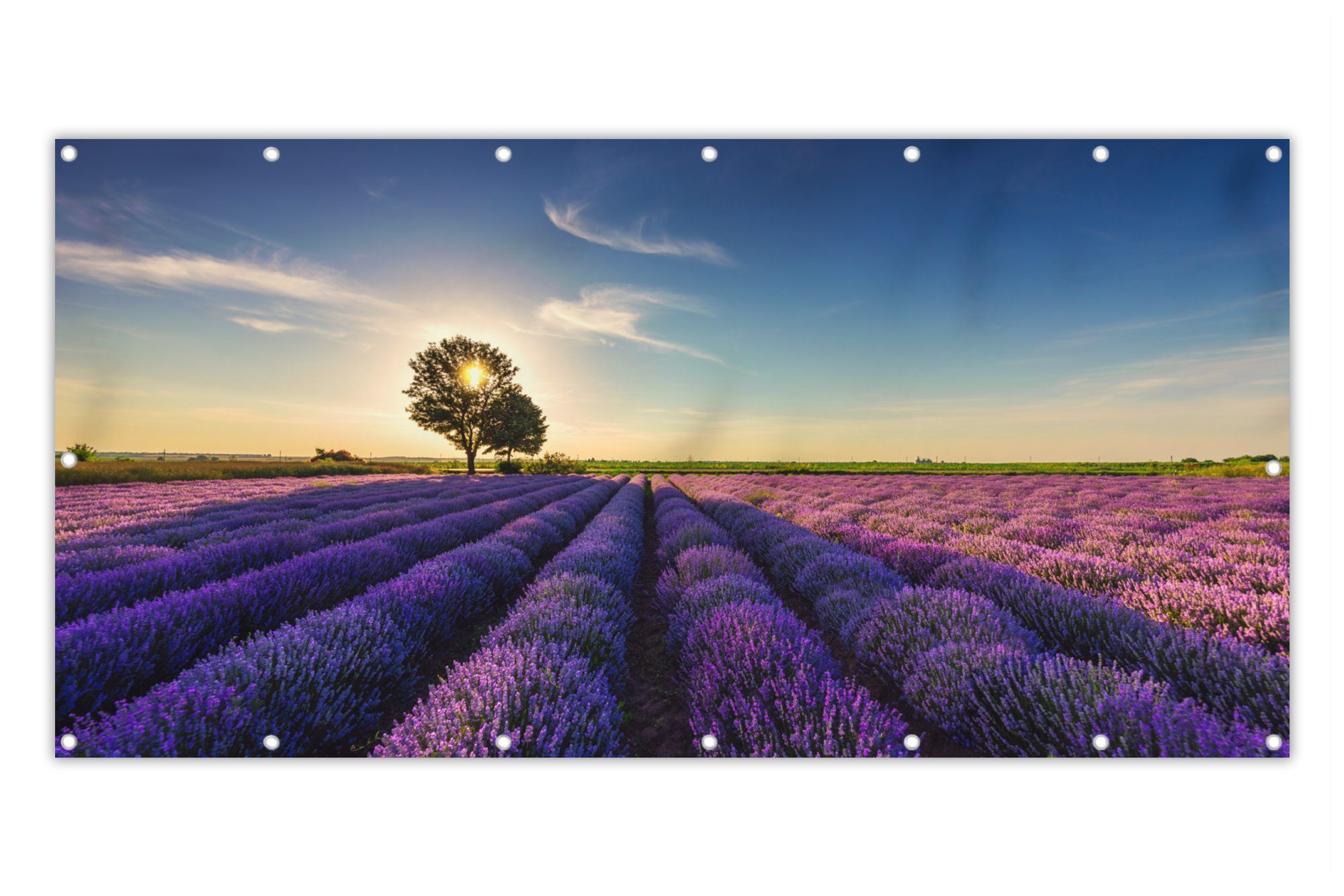 MuchoWow Balkonsichtschutz Lavendel Sonne Baum Blumen Lila (1