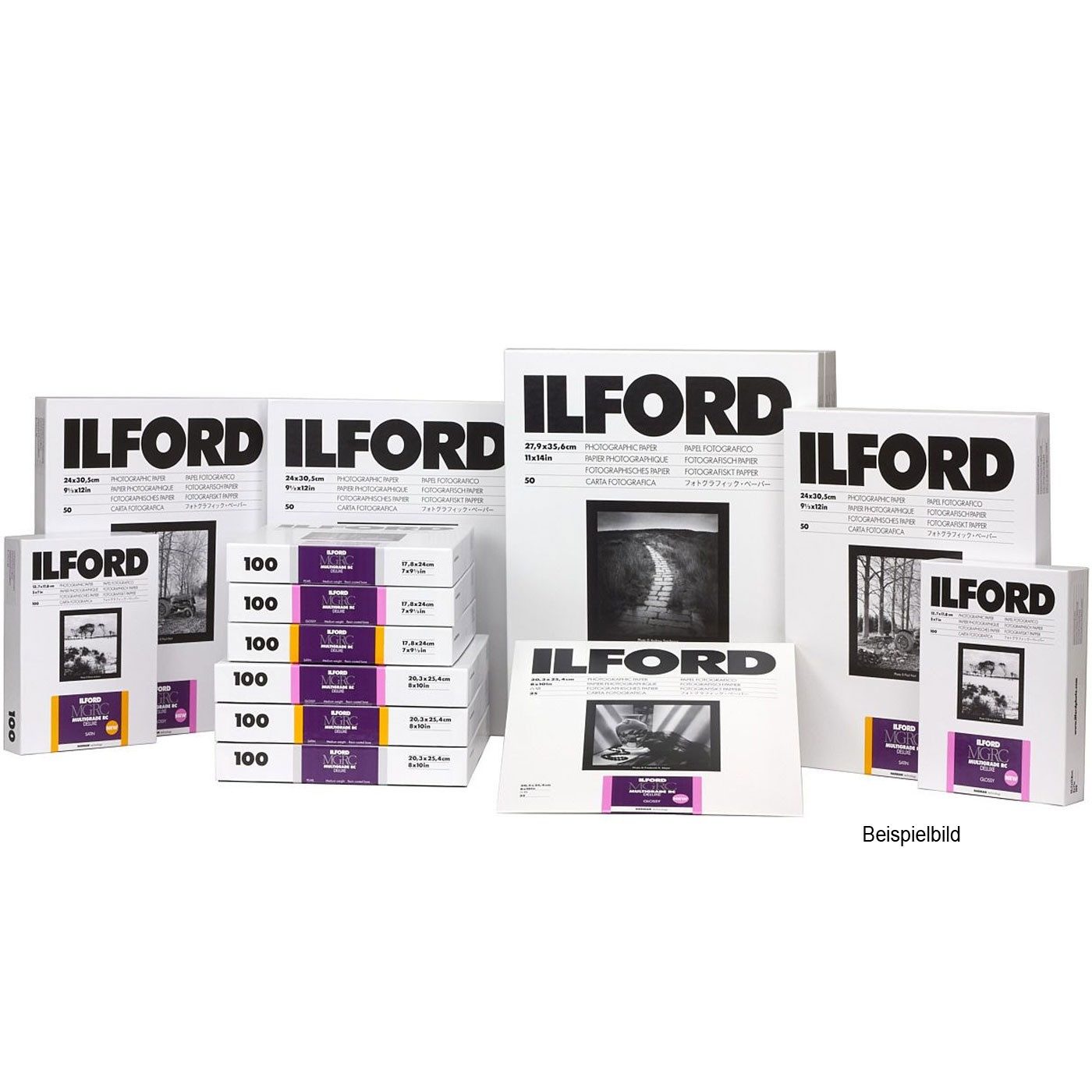 Ilford Fotopapier 1x 50 Ilford MG RC DL 25M 24x30