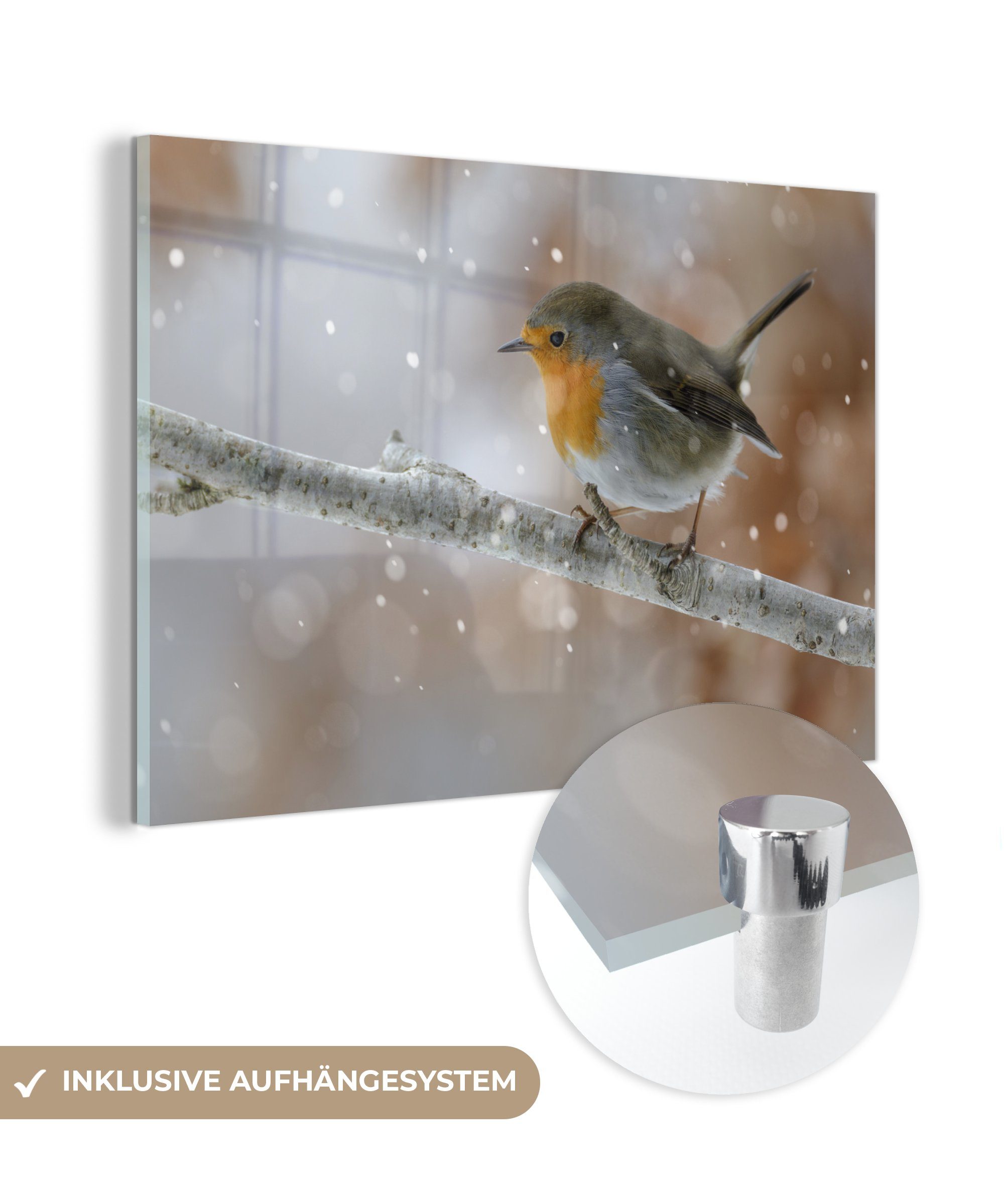 MuchoWow Acrylglasbild Rotkehlchen - Wohnzimmer & (1 Acrylglasbilder Schlafzimmer Äste Schnee, - St)