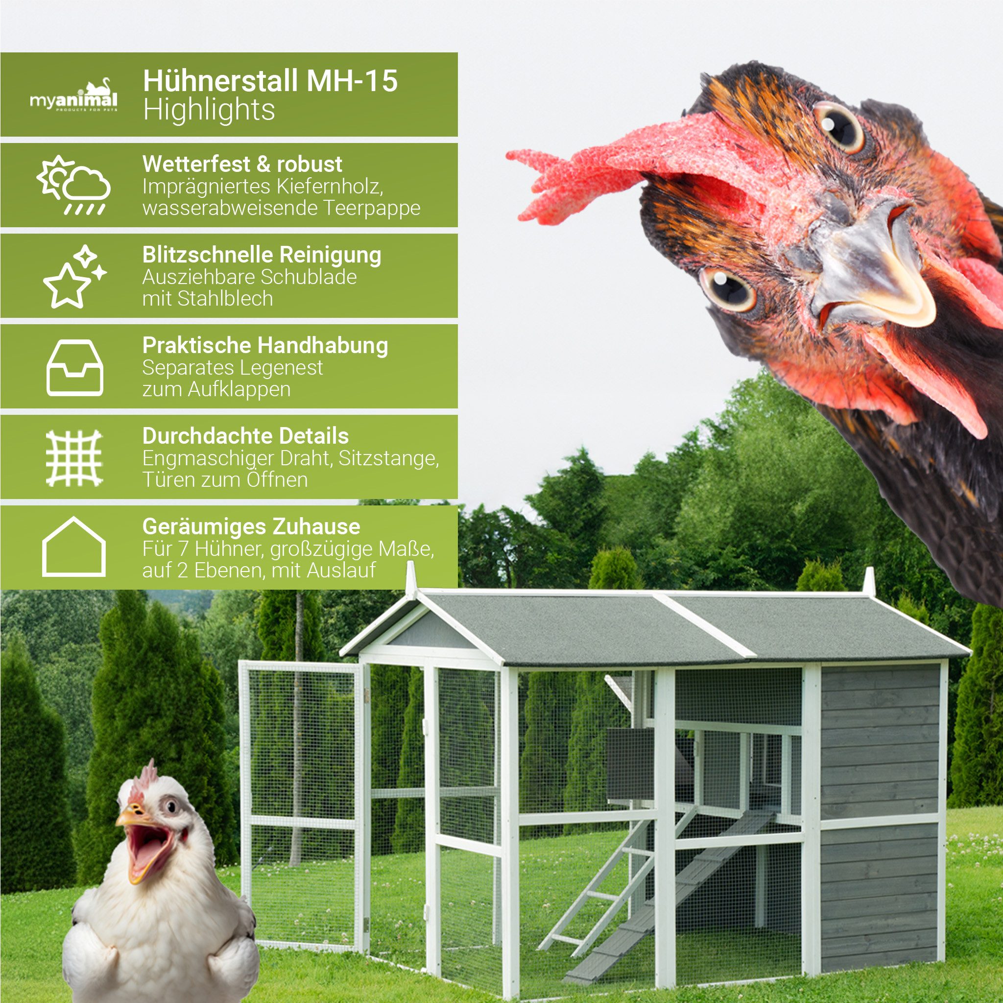 My Animal Kleintierstall XXL Hühnerstall MH-15 - 7 Hühner - Hühnerkäfig - Wetterbeständig, Zwei trennbare Etagen, Nistkasten, Sitzstange, Hühnerhaus