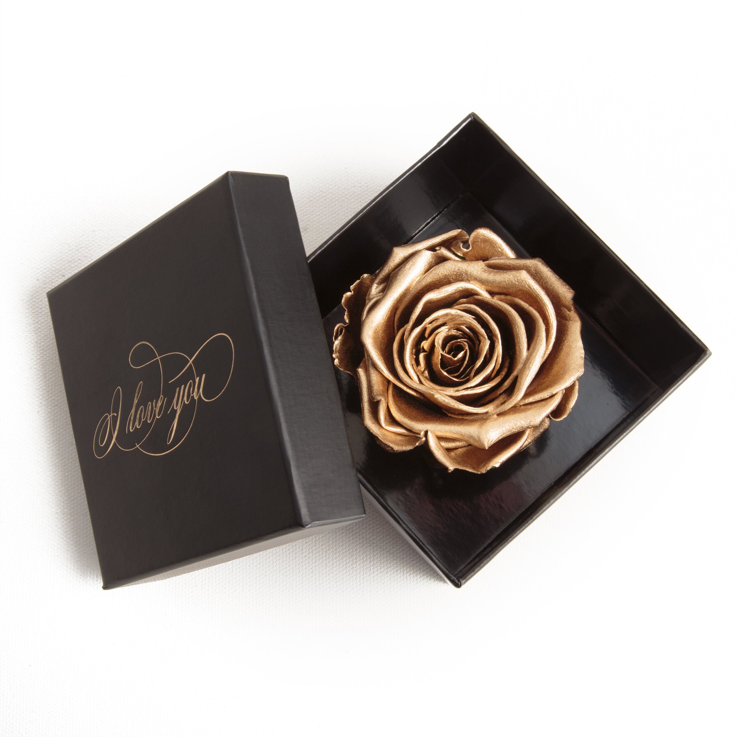 Rose ROSEMARIE Idee SCHULZ Gold Rose, 6 I Geschenk Echte cm, konserviert Infinity Liebesbeweis Höhe Kunstblume You Love Heidelberg, Rose Box