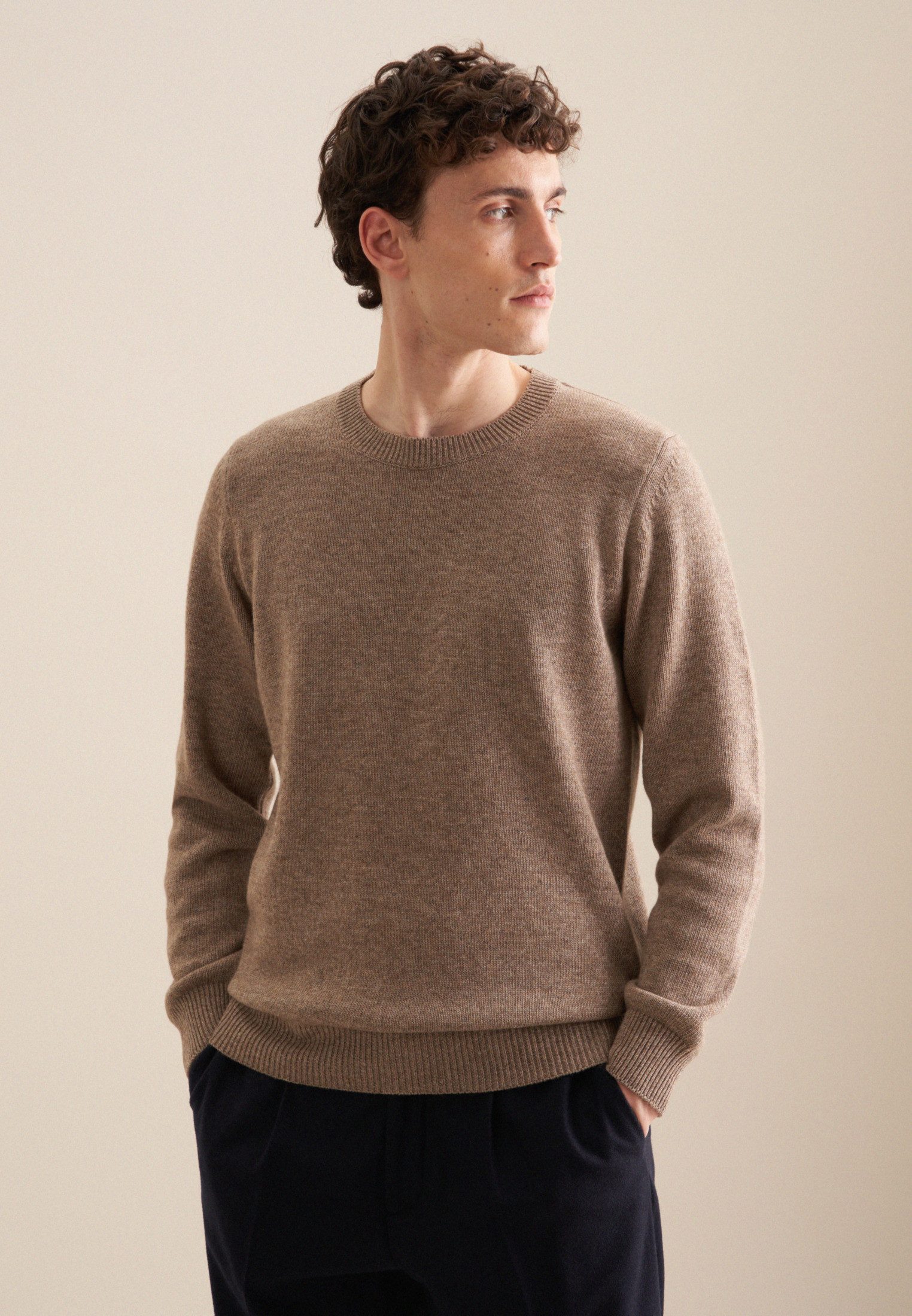 Strickpullover Regular
