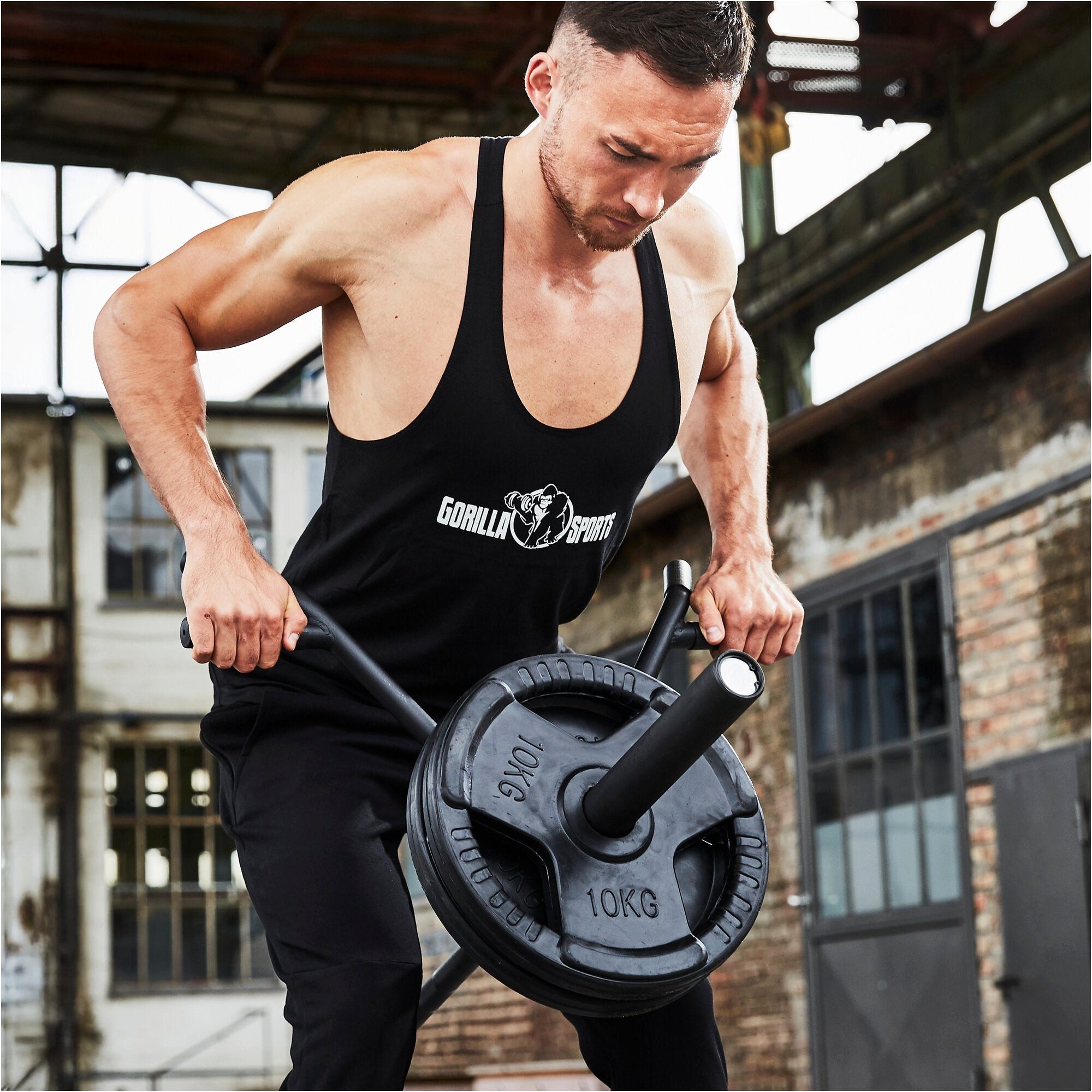 GORILLA SPORTS Zughilfe T-Bar Row Rudergriff (1-tlg)