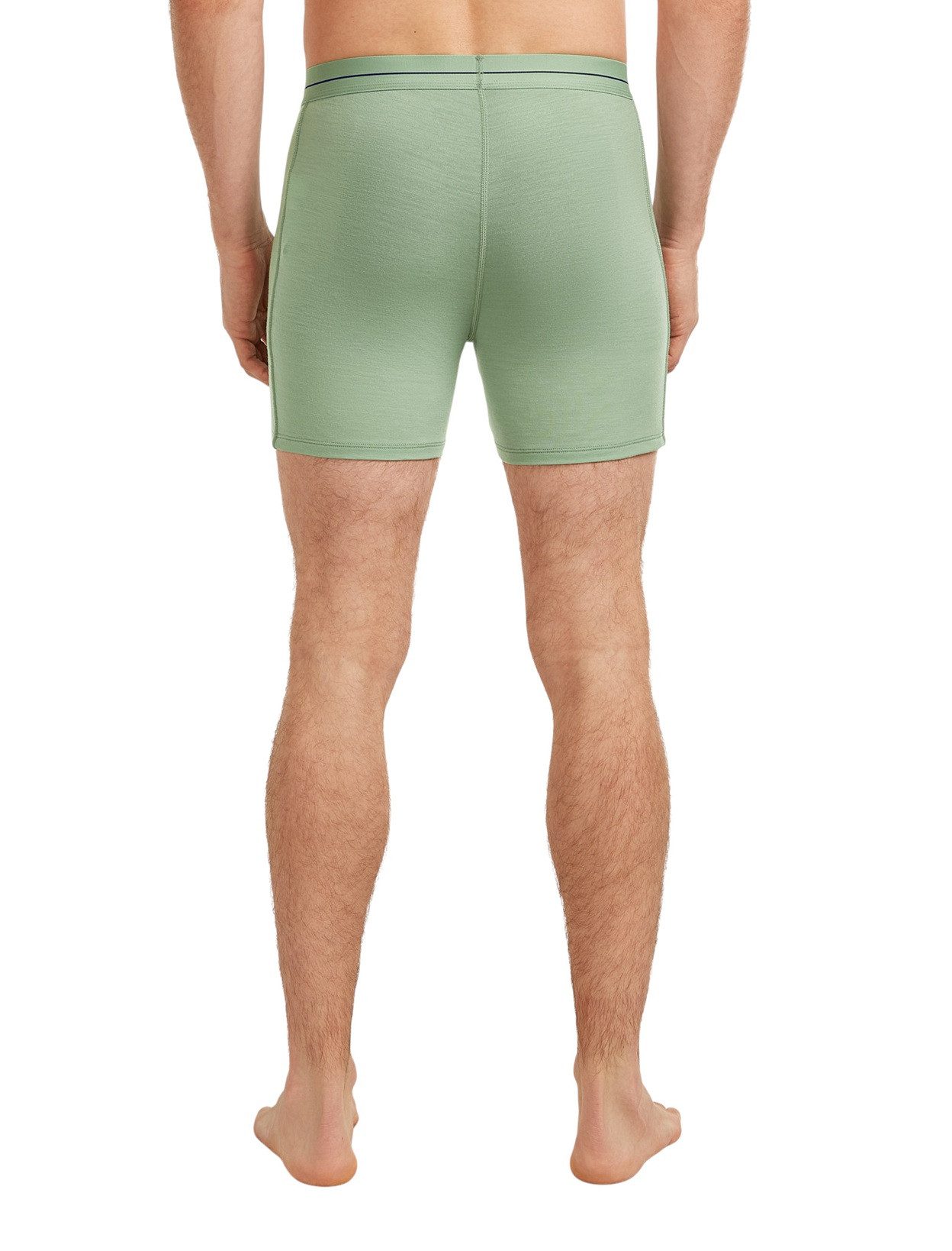 Icebreaker Boxershorts Anatomica (Merinowolle) Unterwäsche sea grün Herren