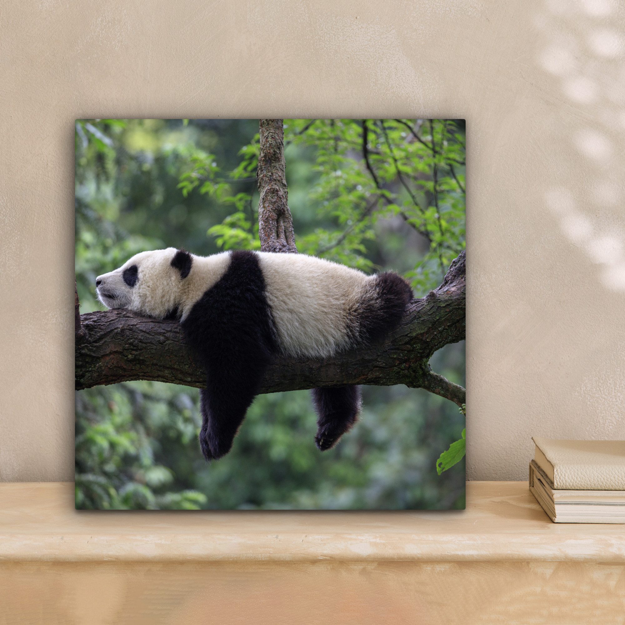 OneMillionCanvasses® Leinwandbild Panda - Baum - Tiere - Natur, Fotodruck ( günstig online kaufen