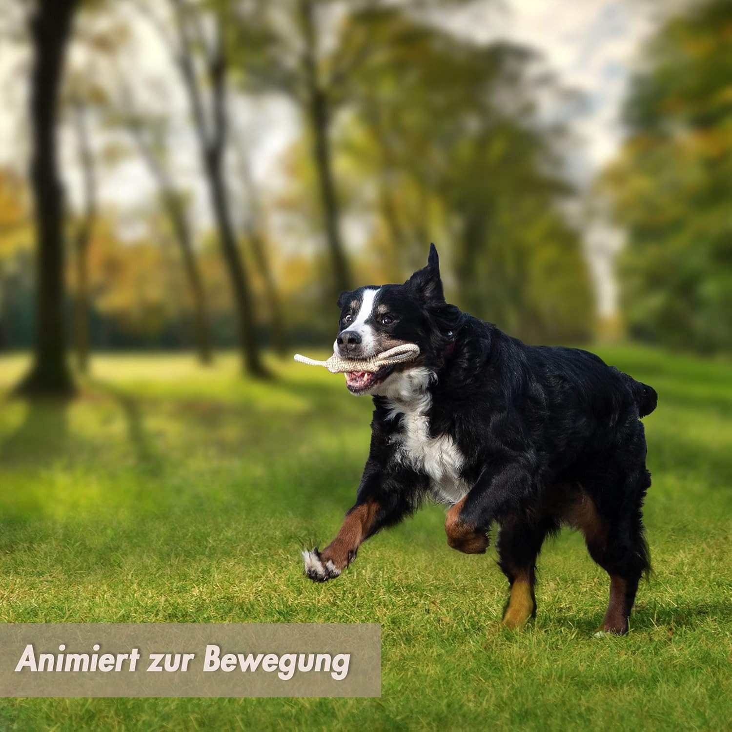 BlingBin Kauspielzeug 6 Stück Hunde Spielzeug Seil, Hergestellt aus Baumwolle & Hanf, (6er set 6-tlg), Interaktives Kauspielzeug, für Welpen, Kleine, Mittelgroße Hunde