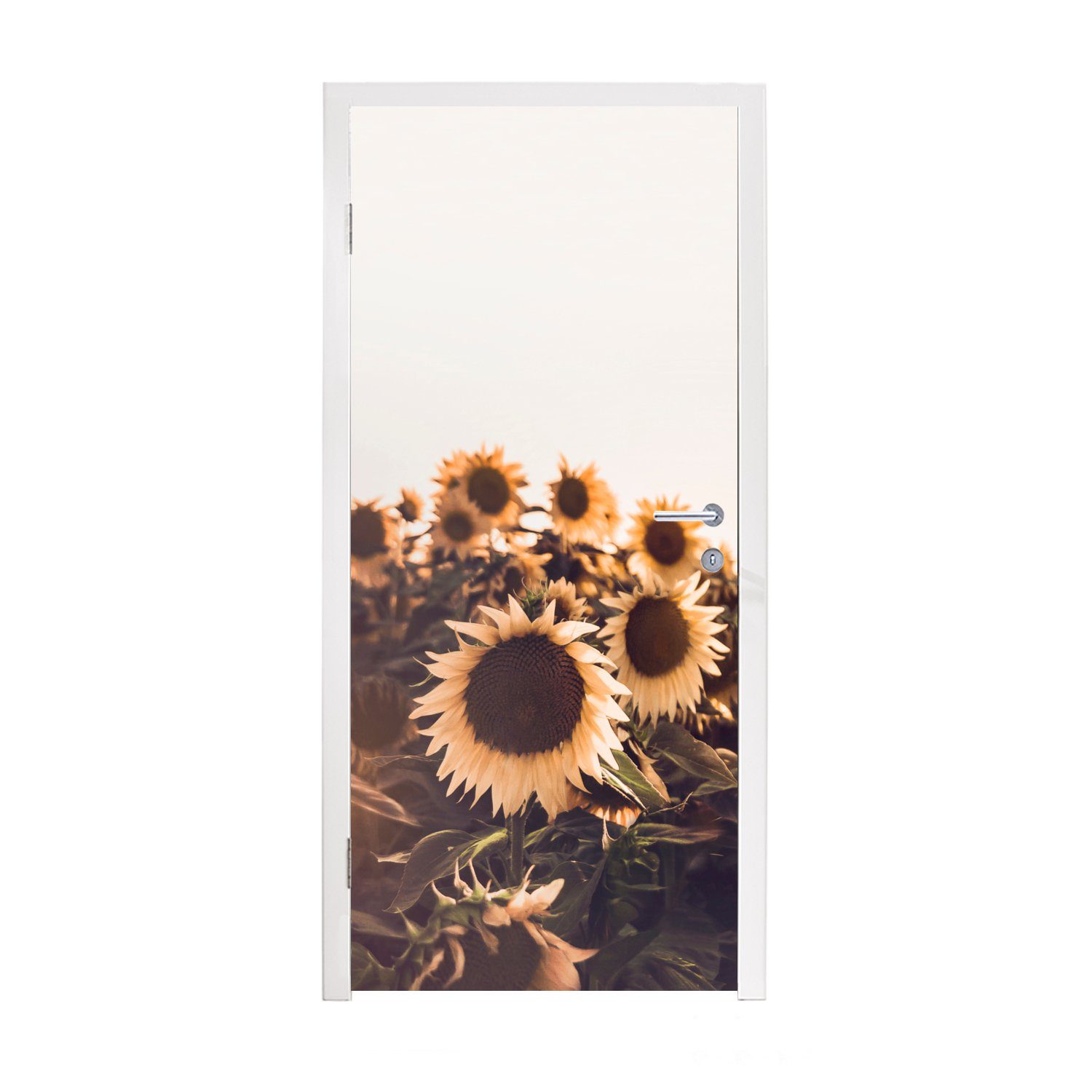 MuchoWow Türtapete Sonnenblumen - Feld - Sonnenuntergang - Blumen - Gelb, Matt, bedruckt, (1 St), Fototapete für Tür, Türaufkleber, 75x205 cm