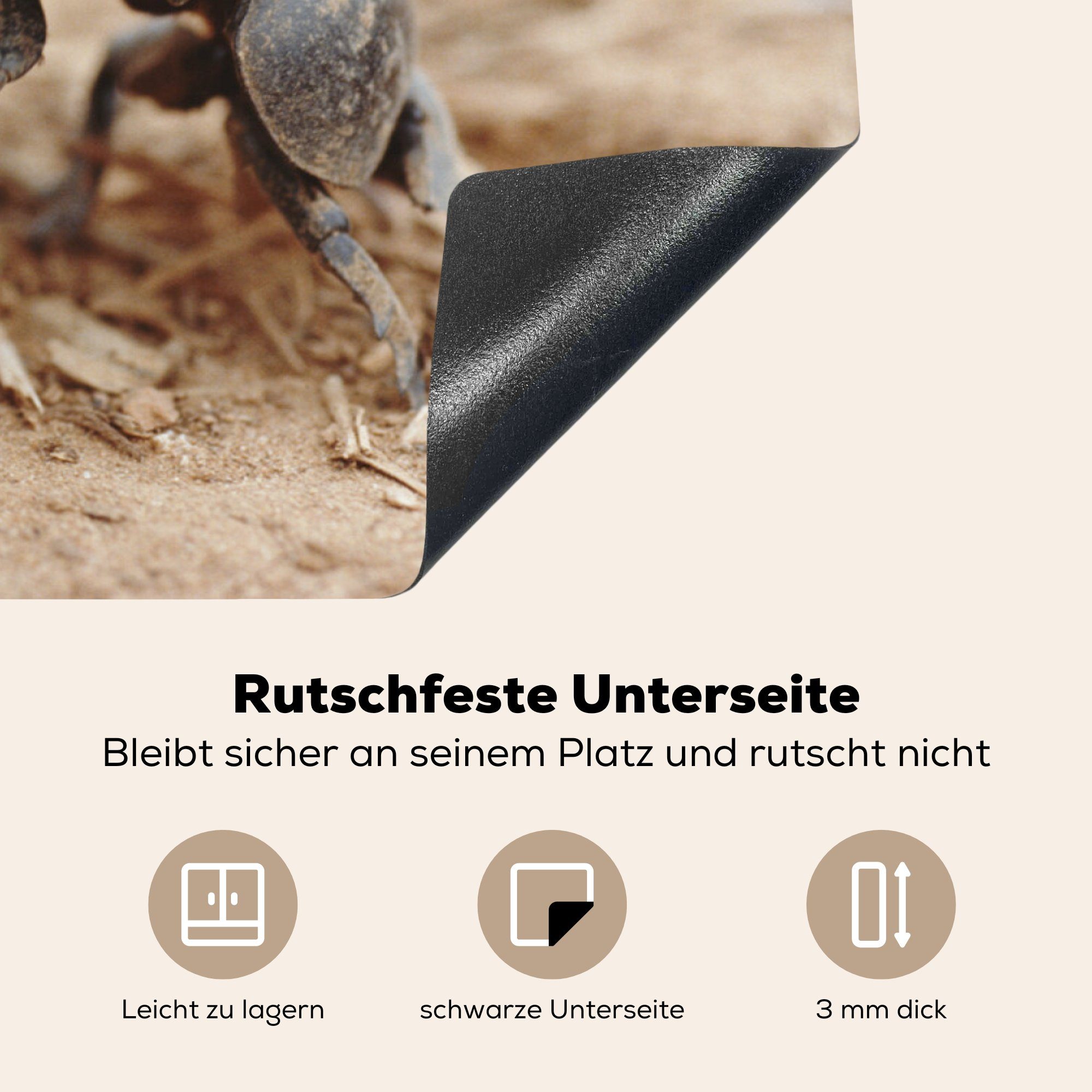 81x52 Käfer die Vinyl, Erde, - Schutz - MuchoWow Herdblende-/Abdeckplatte tlg), (1 Ceranfeldabdeckung Mistkugel küche, Induktionskochfeld cm, für